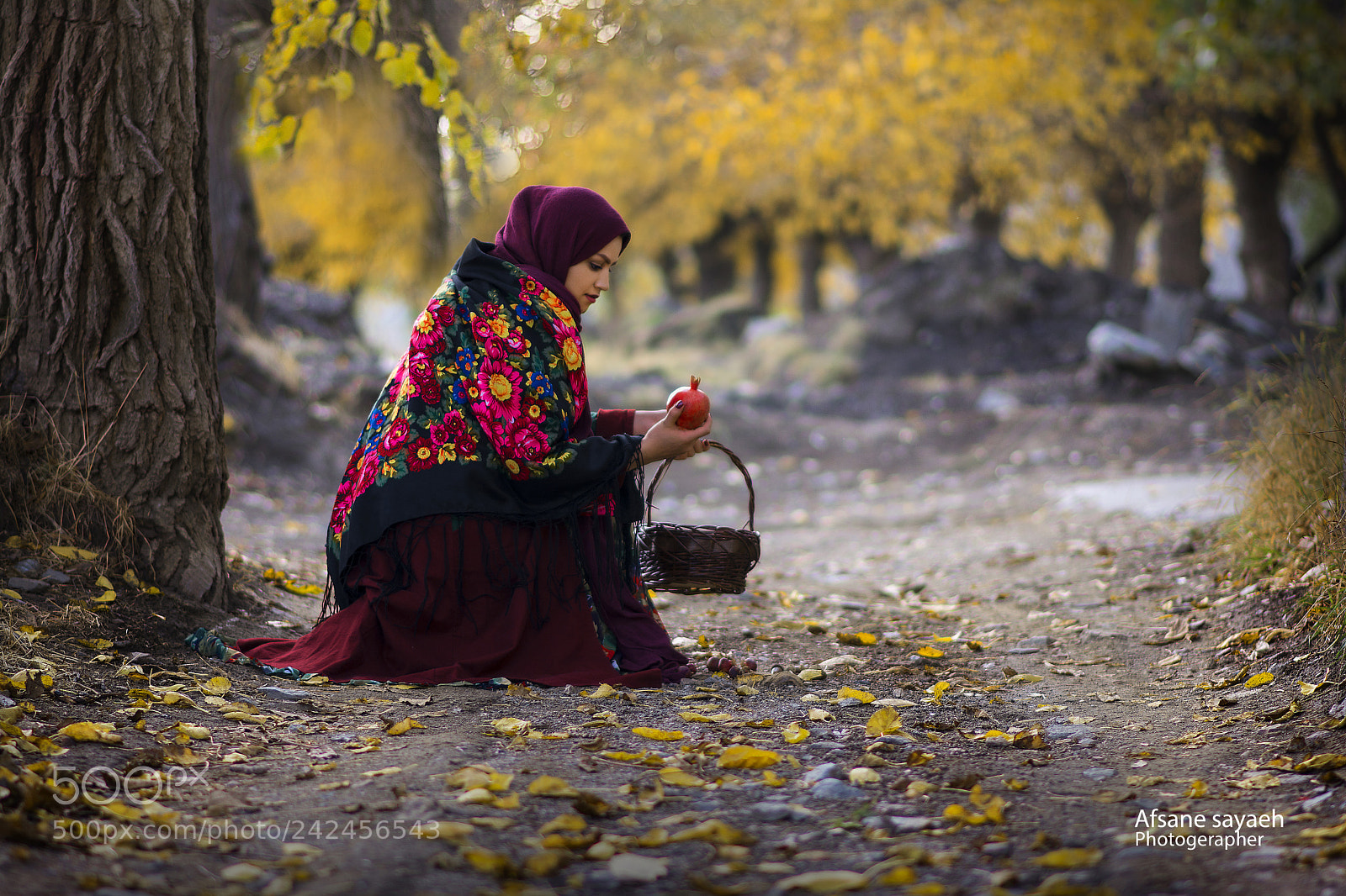 Nikon D7100 sample photo. Untitled photography