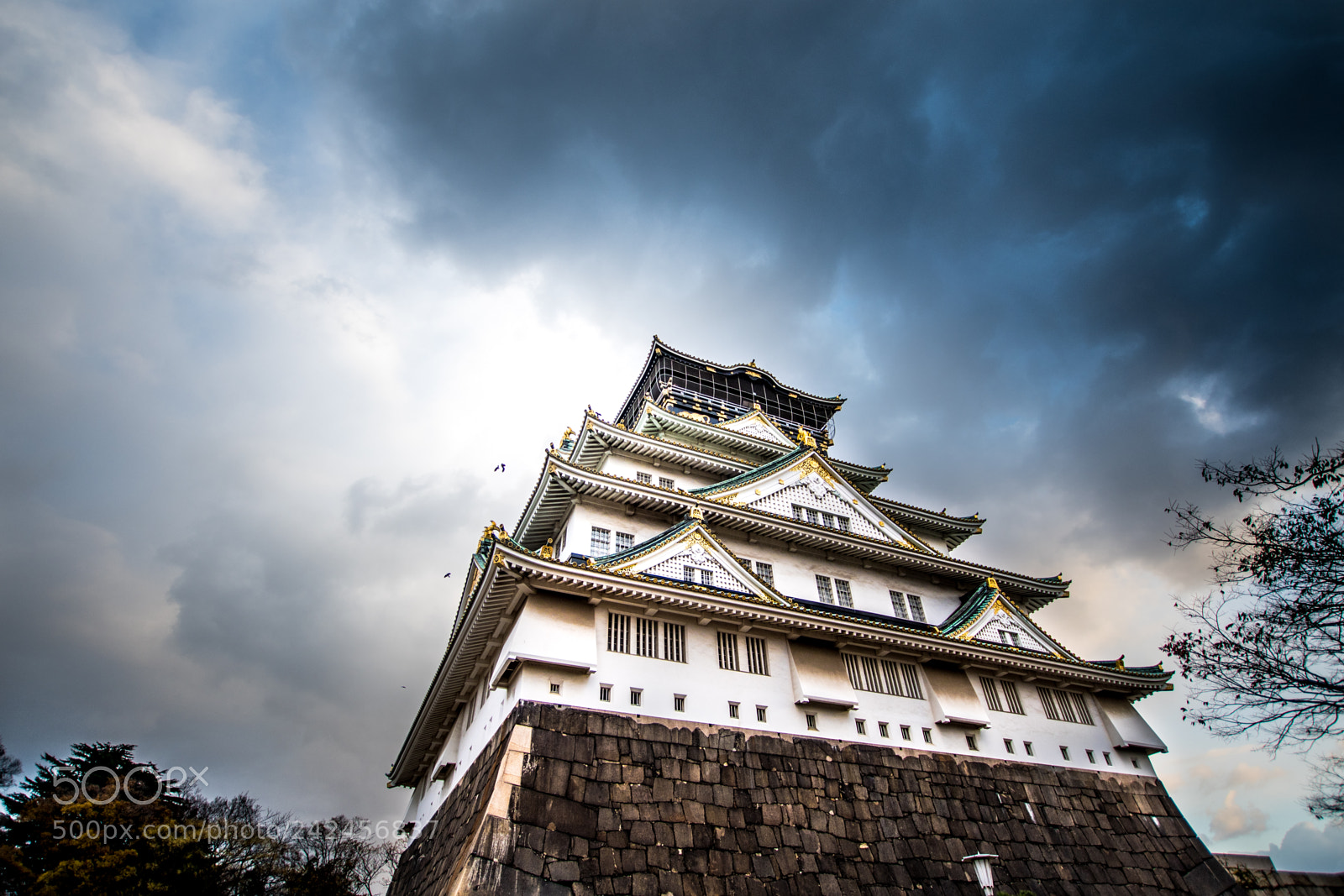 Nikon D7500 sample photo. Osaka castle photography