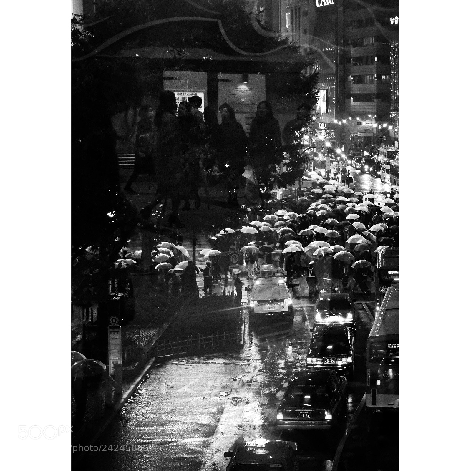 Fujifilm X-T2 sample photo. Reflection of rain.. photography