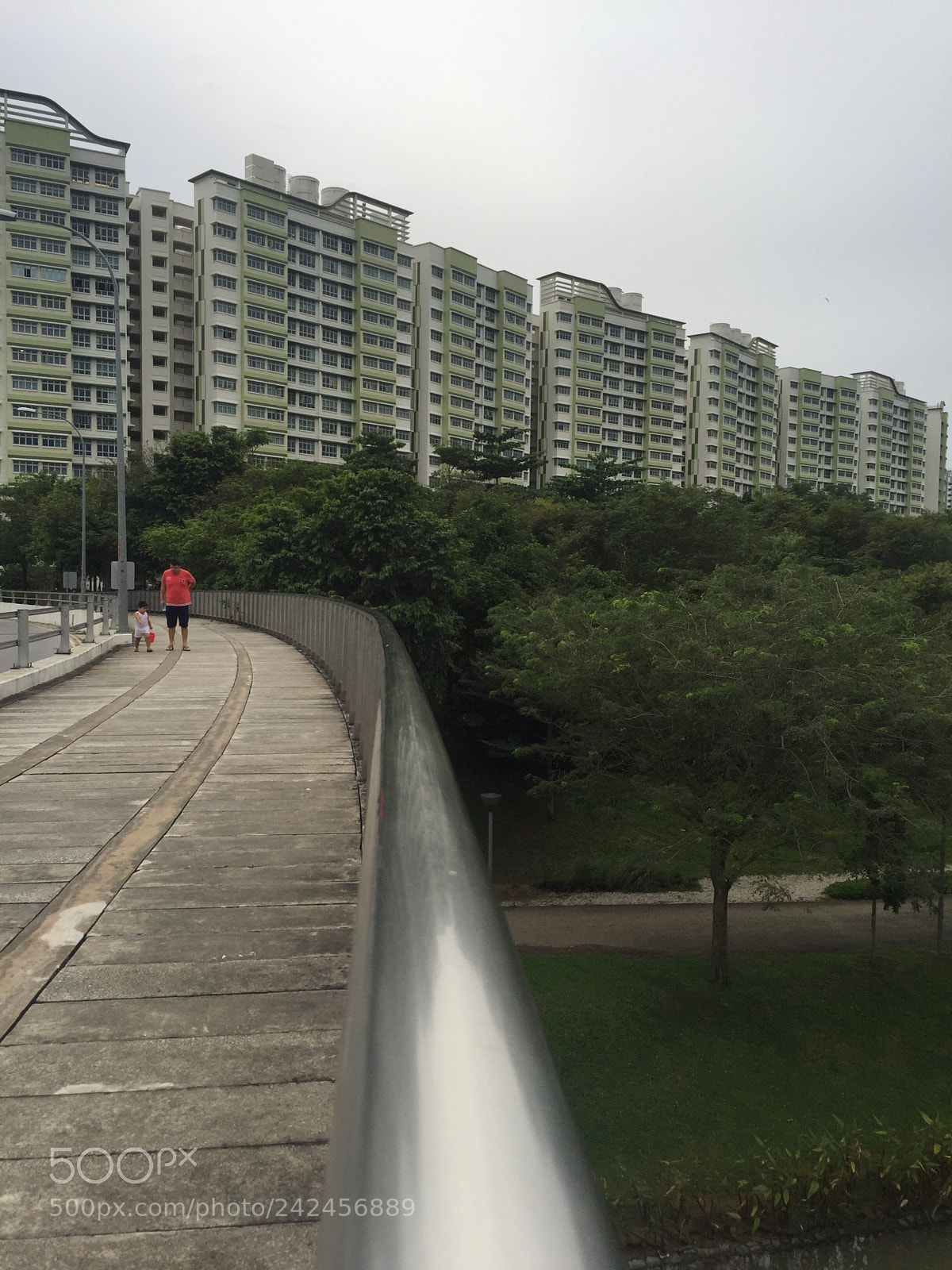 Apple iPhone 6 sample photo. Punggol waterway one point photography