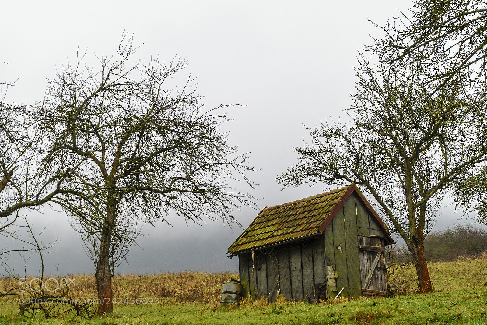Sony a6500 sample photo. Die hütte photography