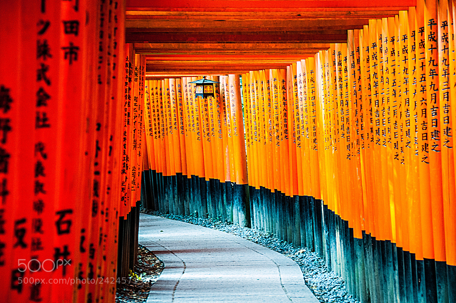 Nikon D300 sample photo. Fushimi inari-taisha shintō shrine photography