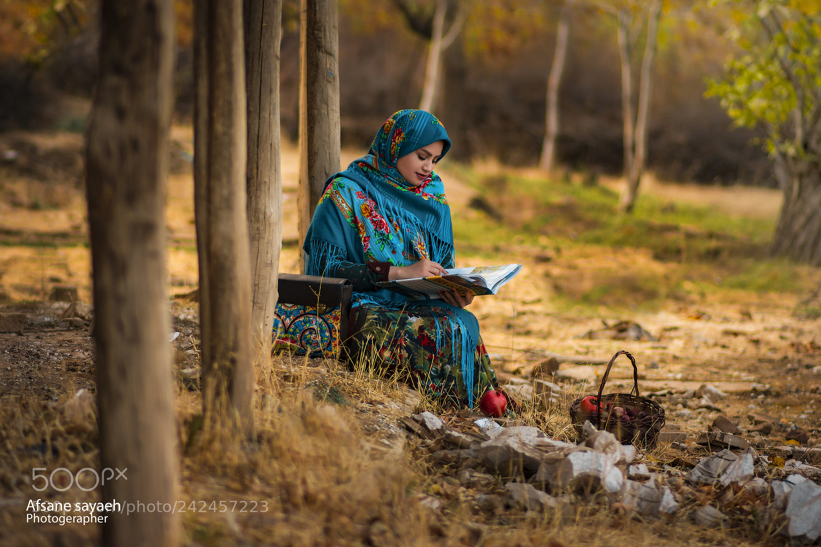Nikon D7100 sample photo. Untitled photography