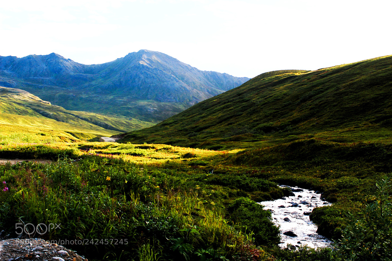 Canon EOS 1200D (EOS Rebel T5 / EOS Kiss X70 / EOS Hi) sample photo. Hatcher pass, willow ak photography