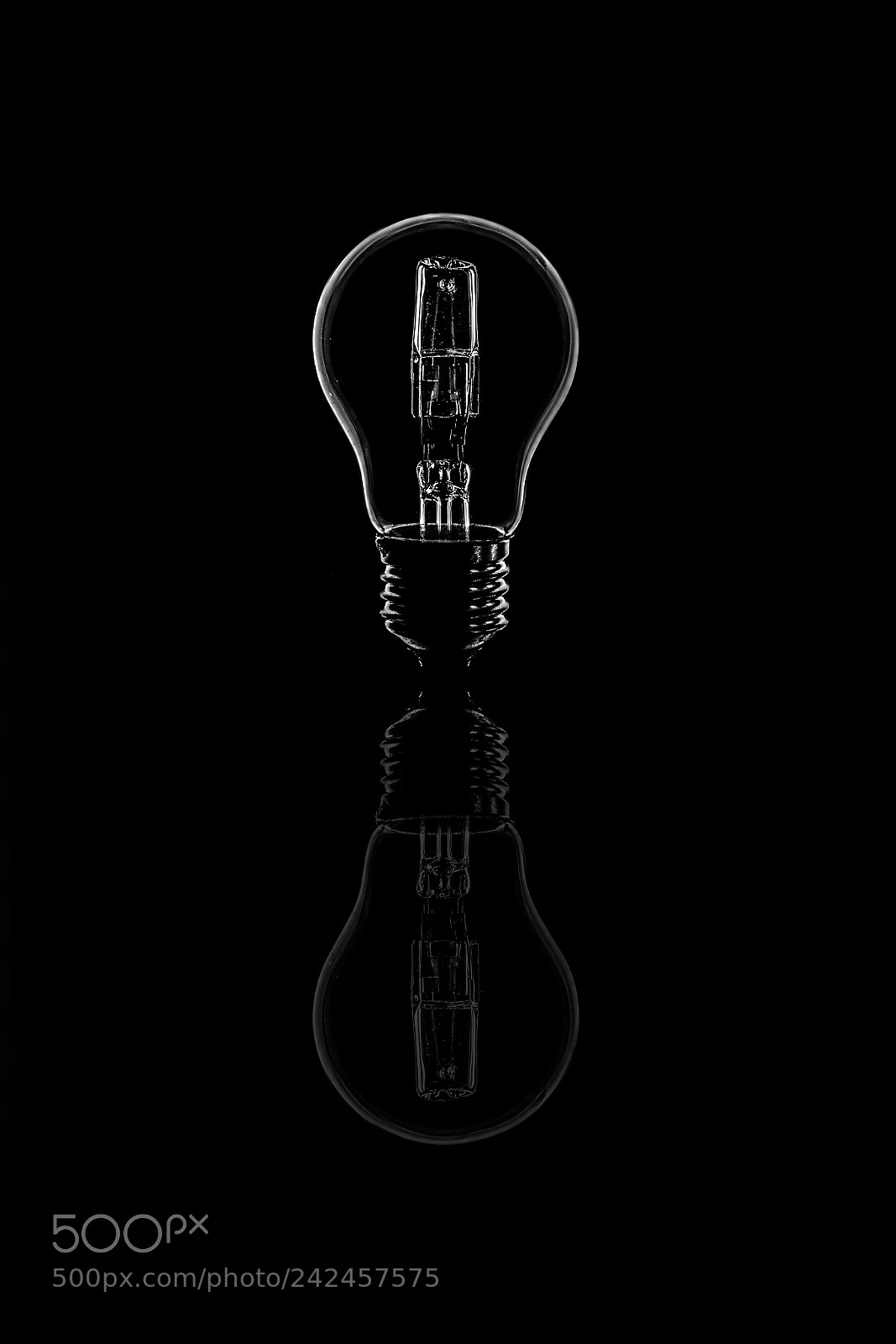 Nikon D7100 sample photo. The light bulb photography