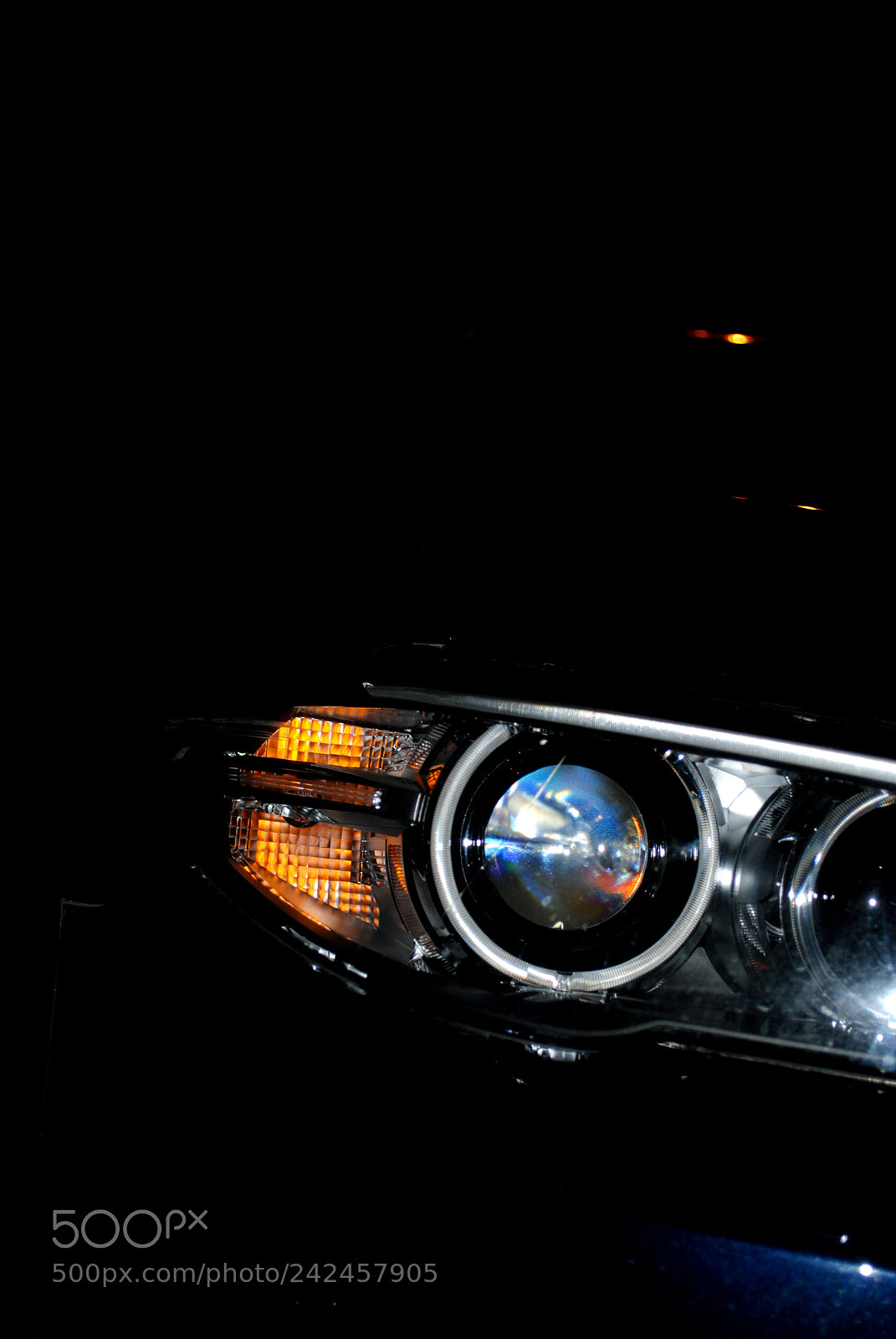 Nikon D3000 sample photo. Untitled photography