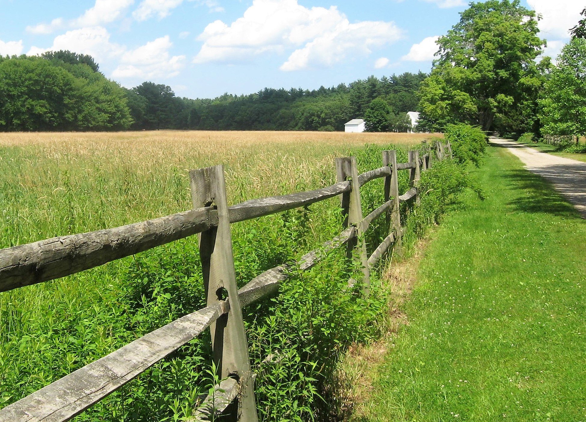 Canon POWERSHOT A560 sample photo. Fenceposts photography