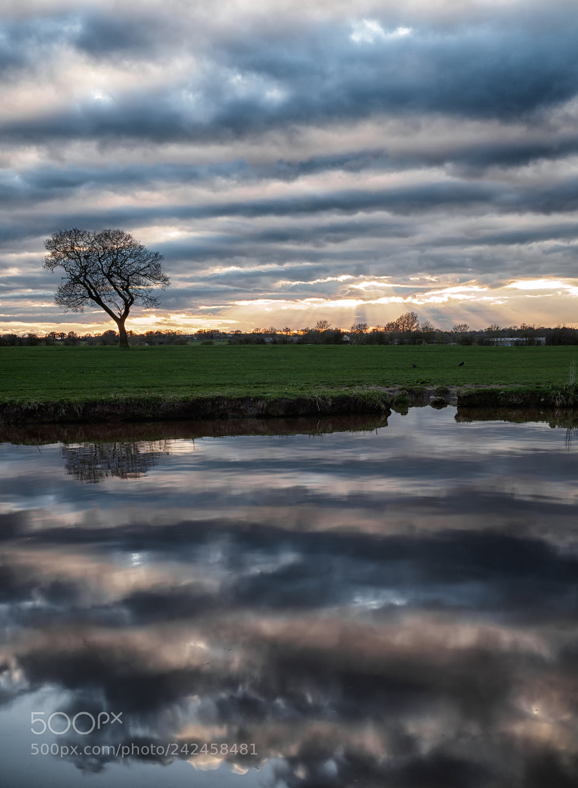 Olympus OM-D E-M10 sample photo. Sunset on the canal photography