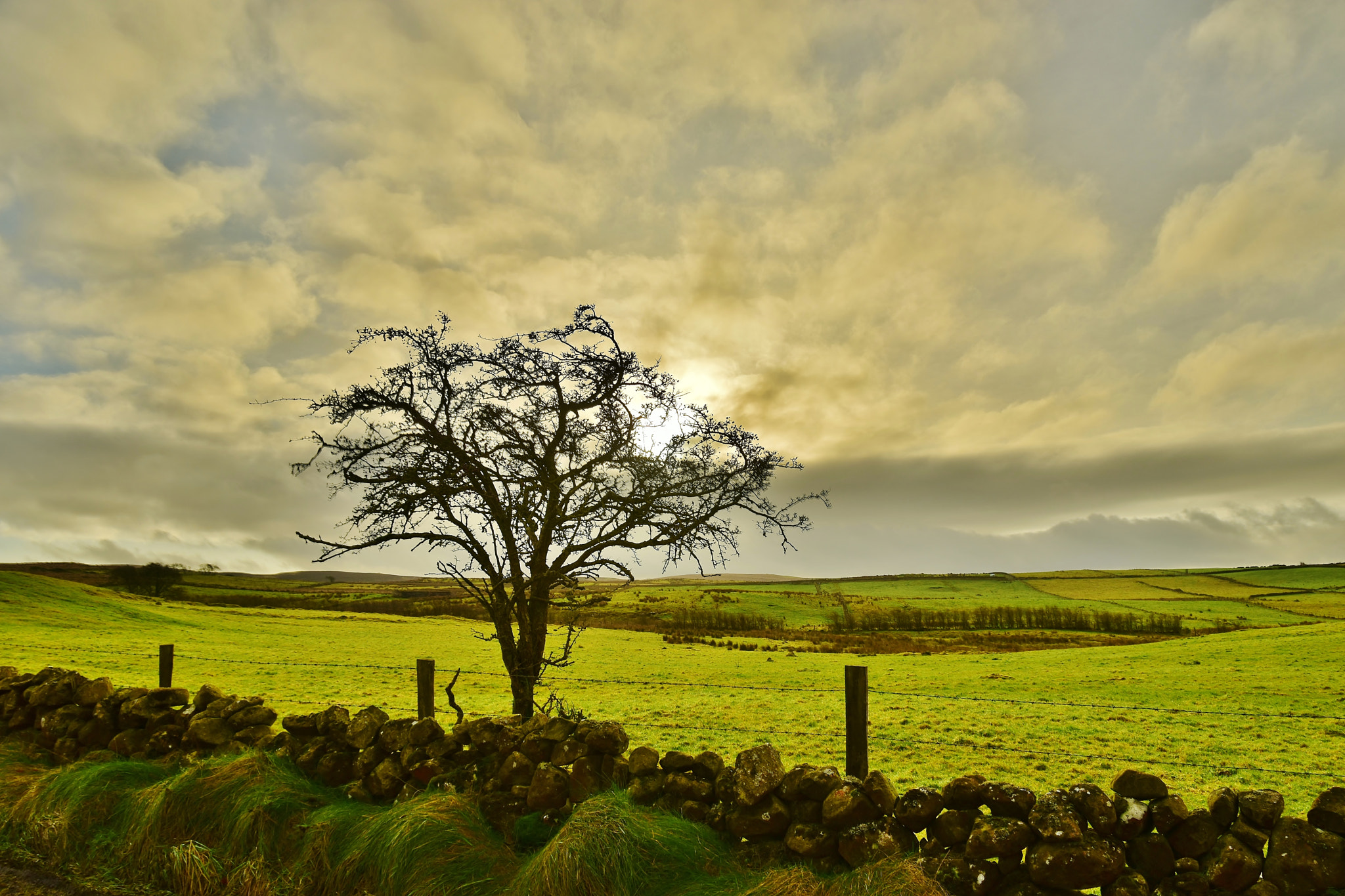 Nikon D5500 sample photo. Soft winter light near the sheddings photography