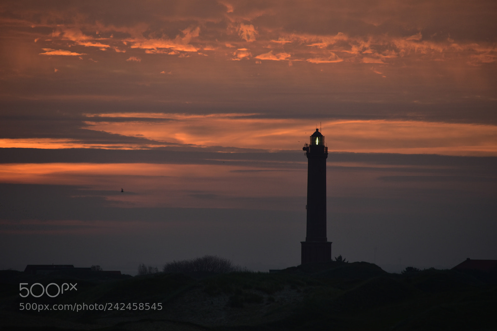 Nikon D5600 sample photo. Norderney photography