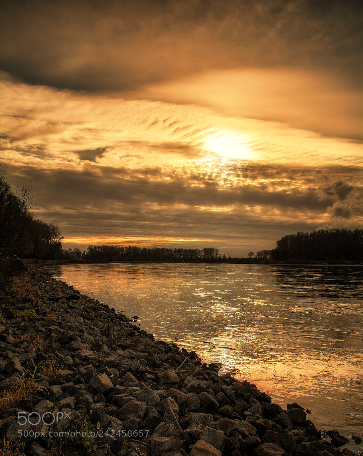 Nikon D7100 sample photo. Golden hour edited photography