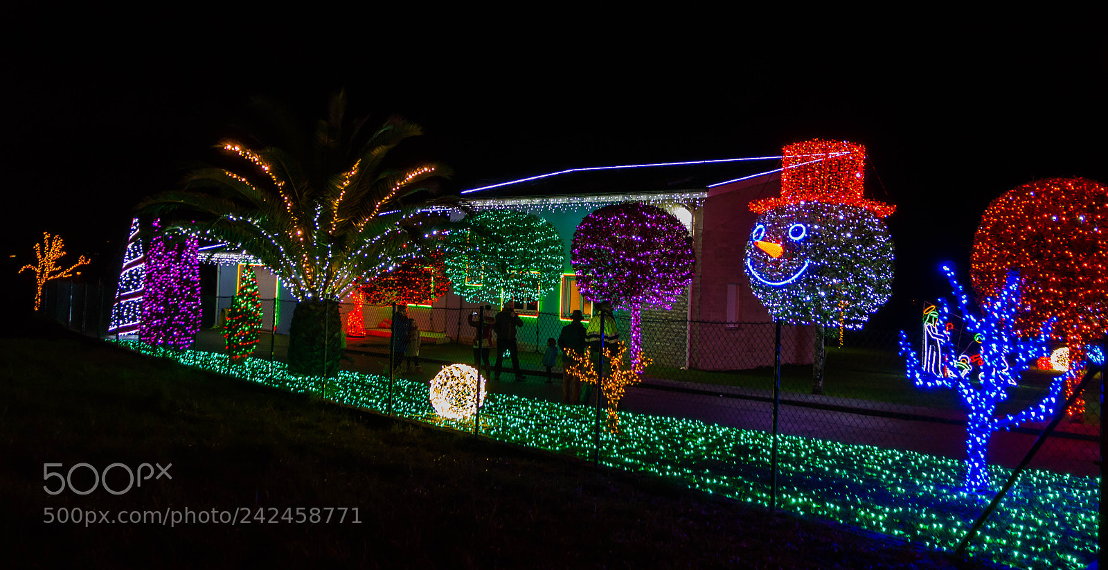 Nikon D3200 sample photo. Christmas lights photography