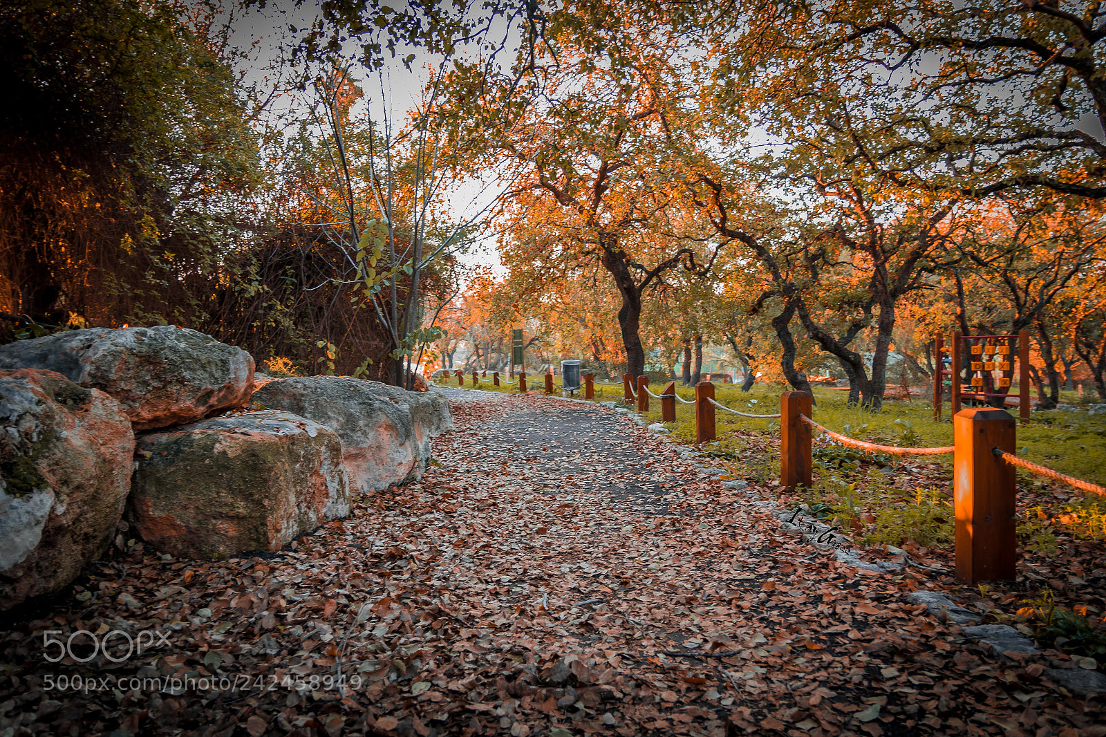 Canon EOS 7D Mark II sample photo. Untitled photography