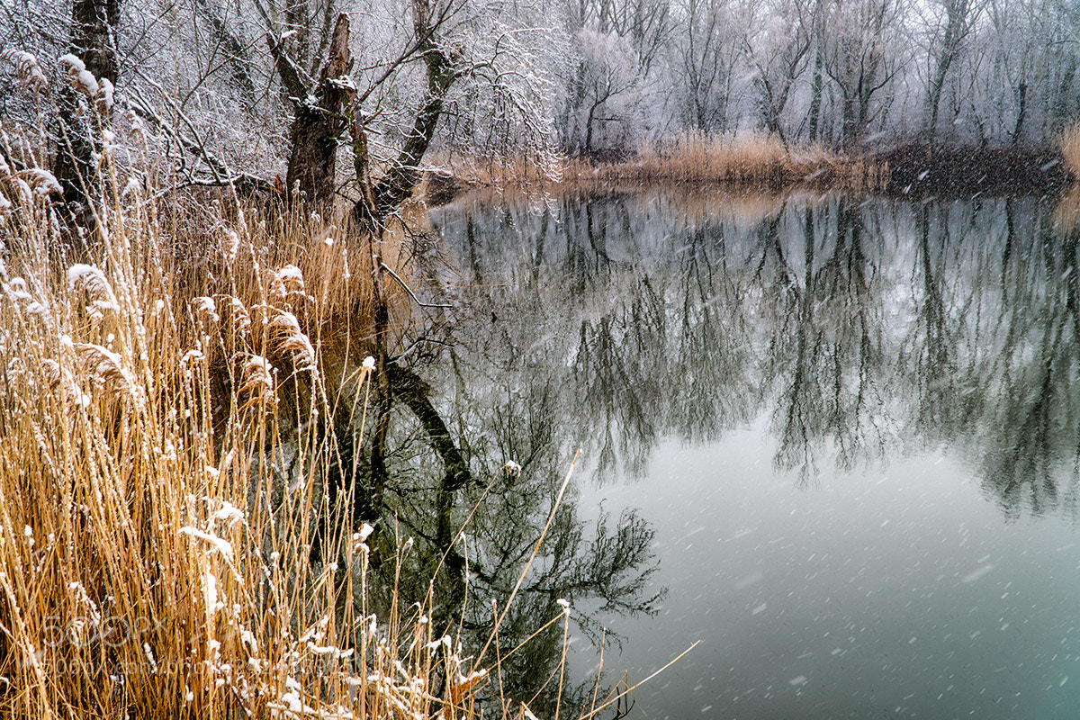 Sony a6300 sample photo. Snowfall photography