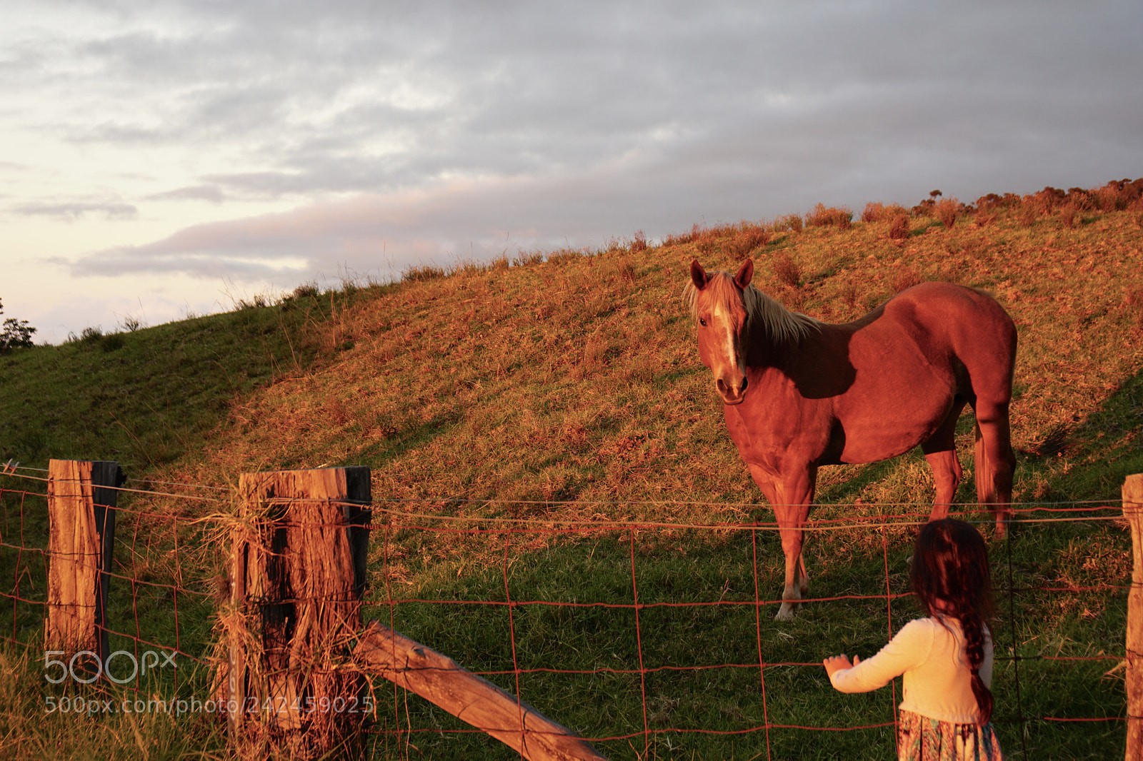 Sony a6300 sample photo. Let’s be friends photography