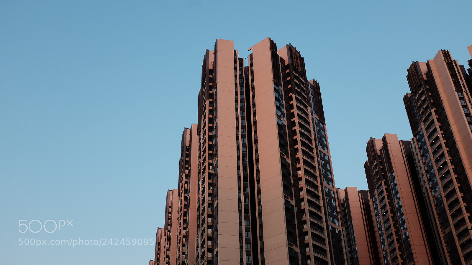 Fujifilm X100T sample photo. Untitled photography