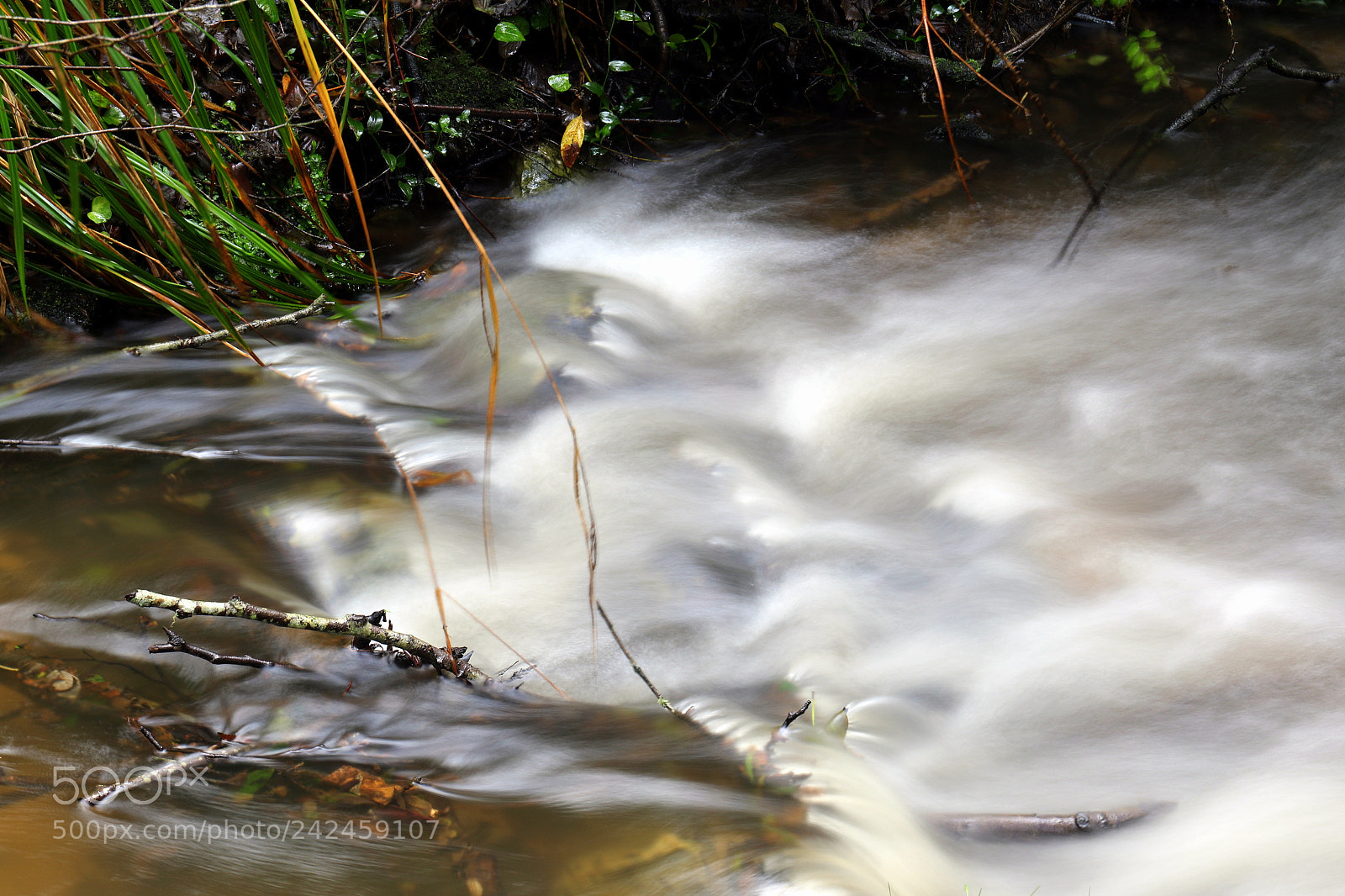 Canon EF 24-70mm F4L IS USM sample photo. Water photography