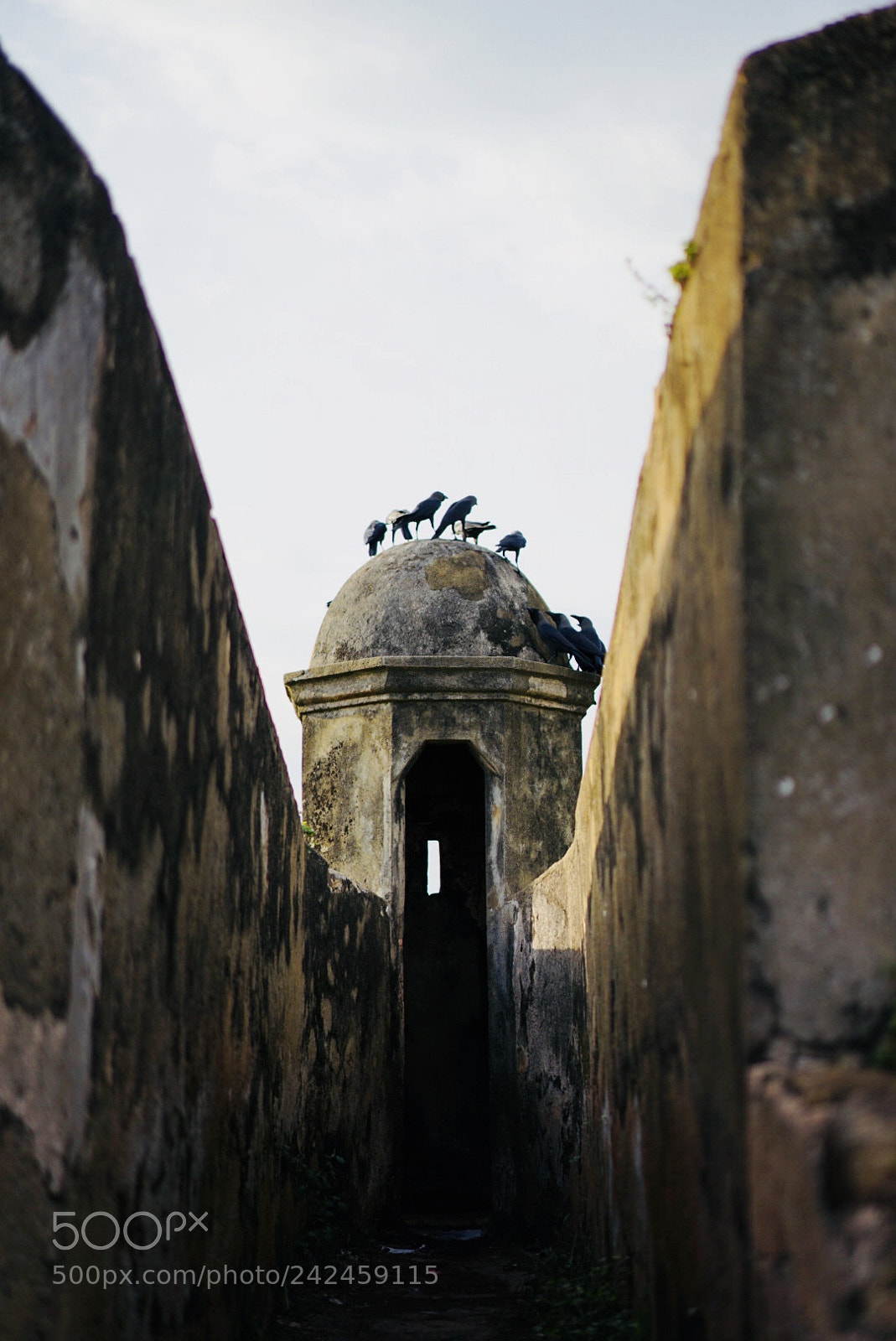 Sony a7 II sample photo. Fort photography