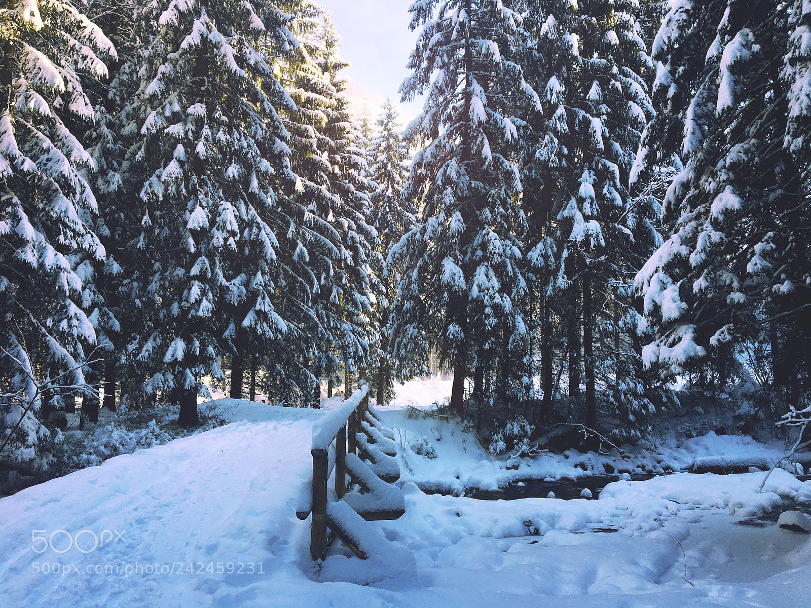 Apple iPhone 6s sample photo. Magical winter photography