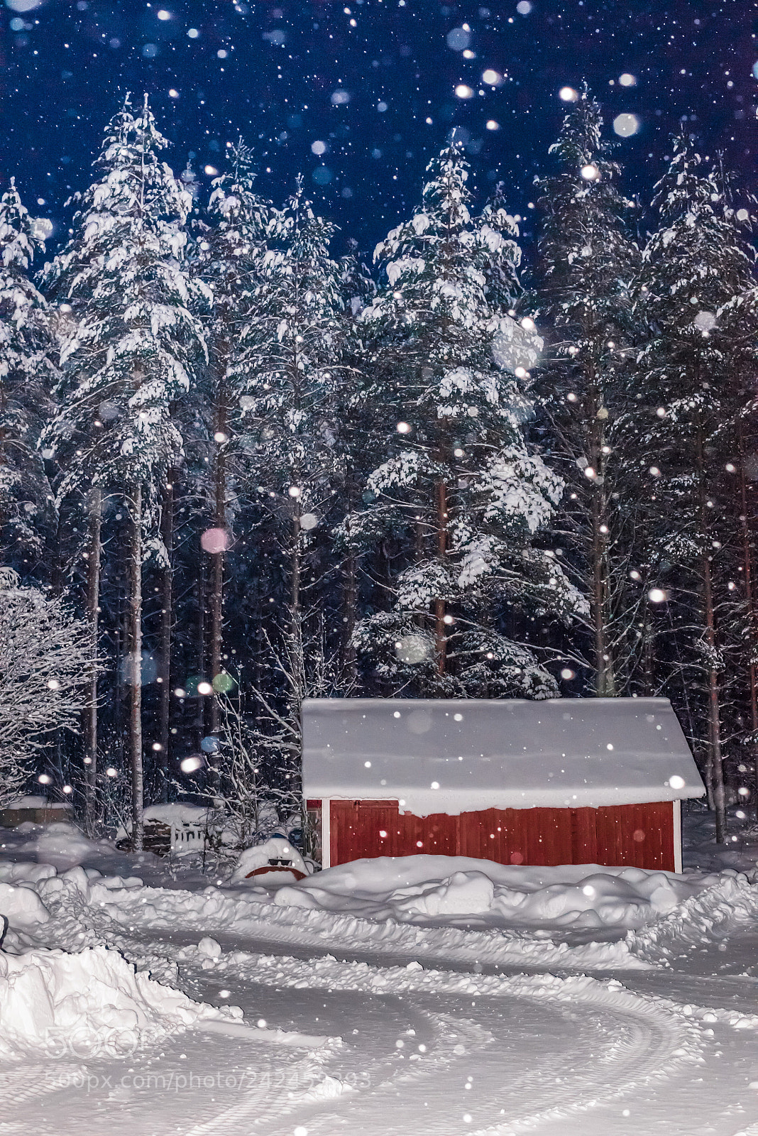 Nikon D600 sample photo. Red barn photography