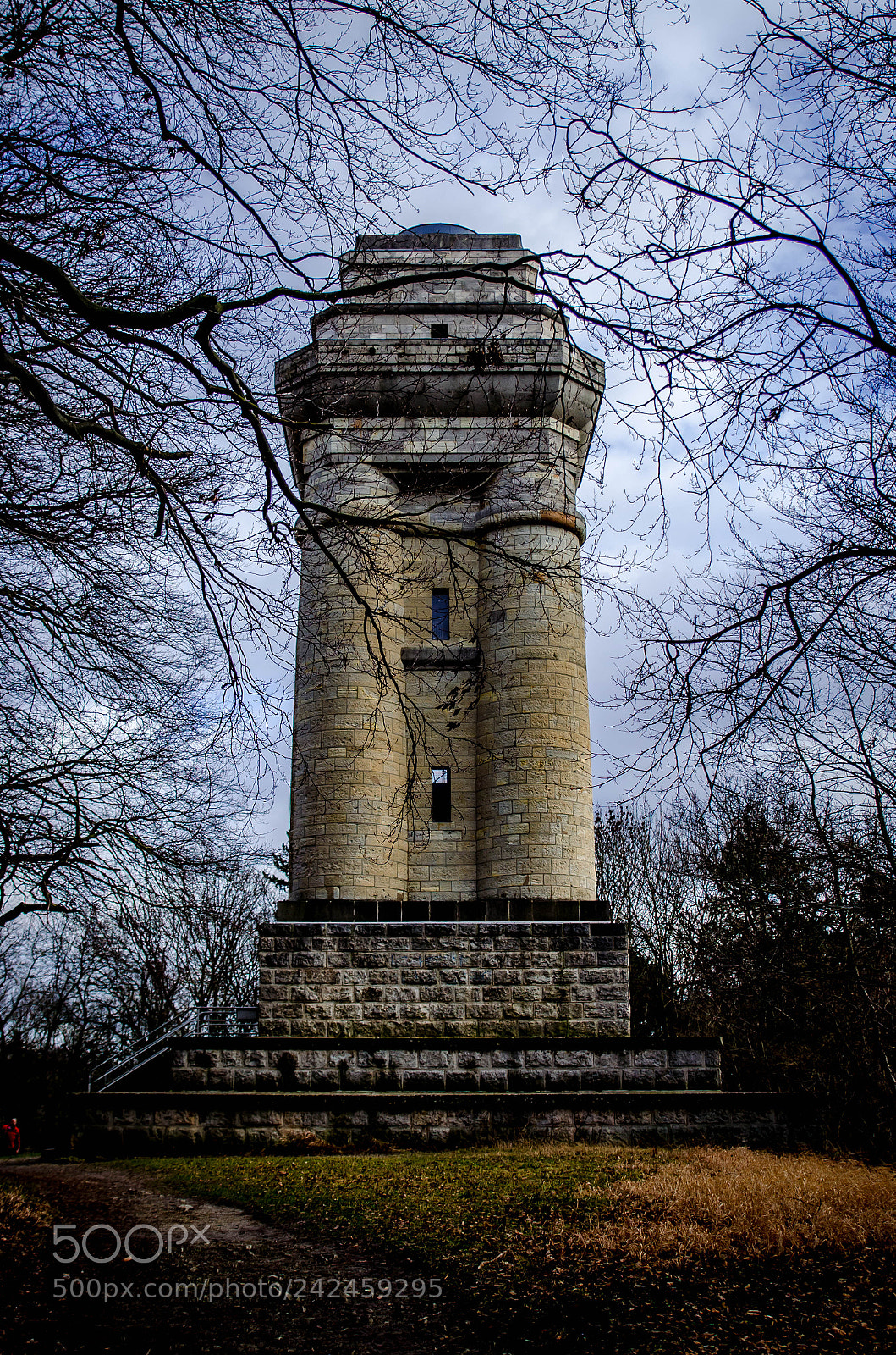 Nikon D5100 sample photo. Bismarkturm wittmar photography
