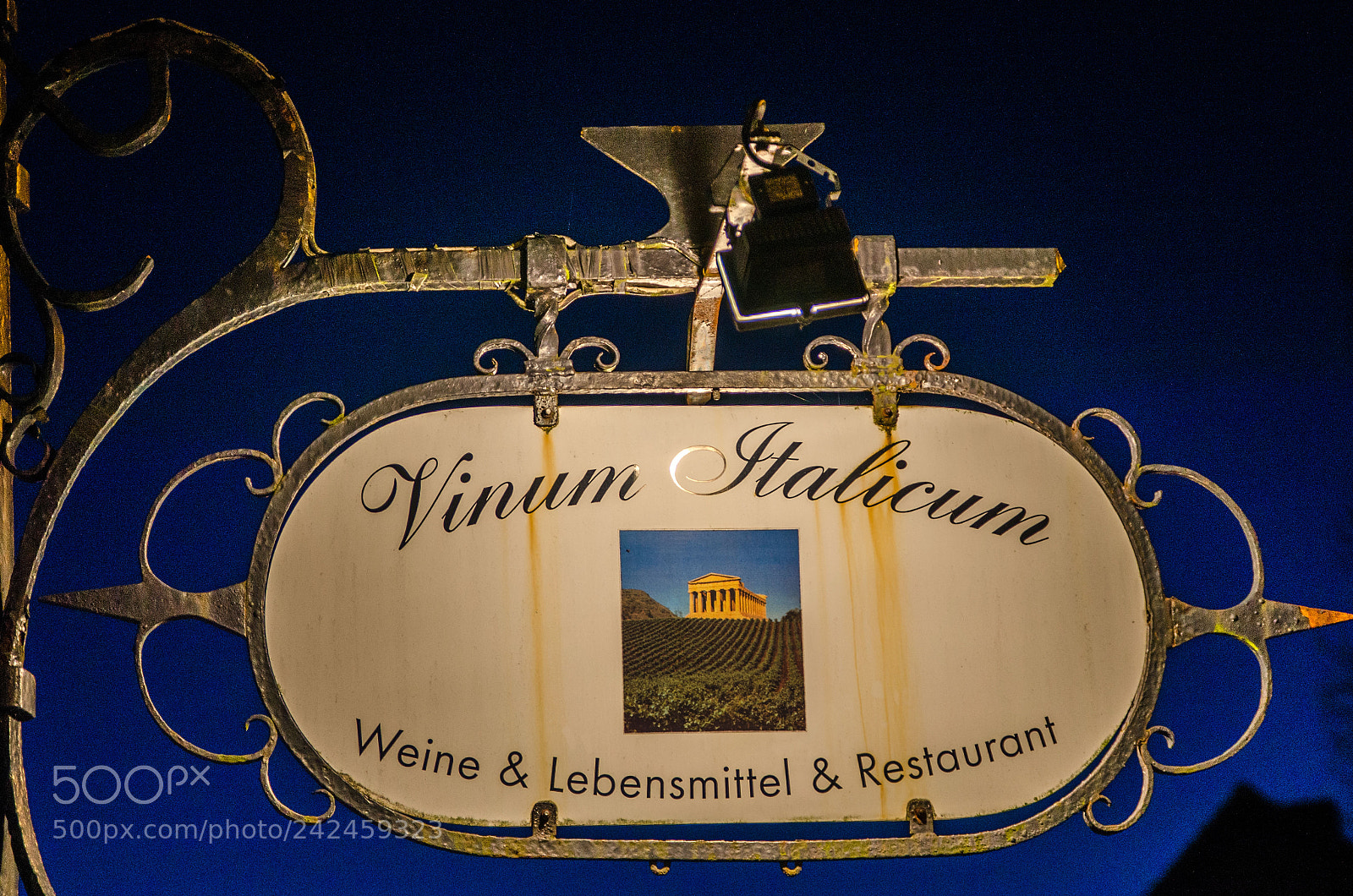 Nikon D5100 sample photo. Vinum italicum photography