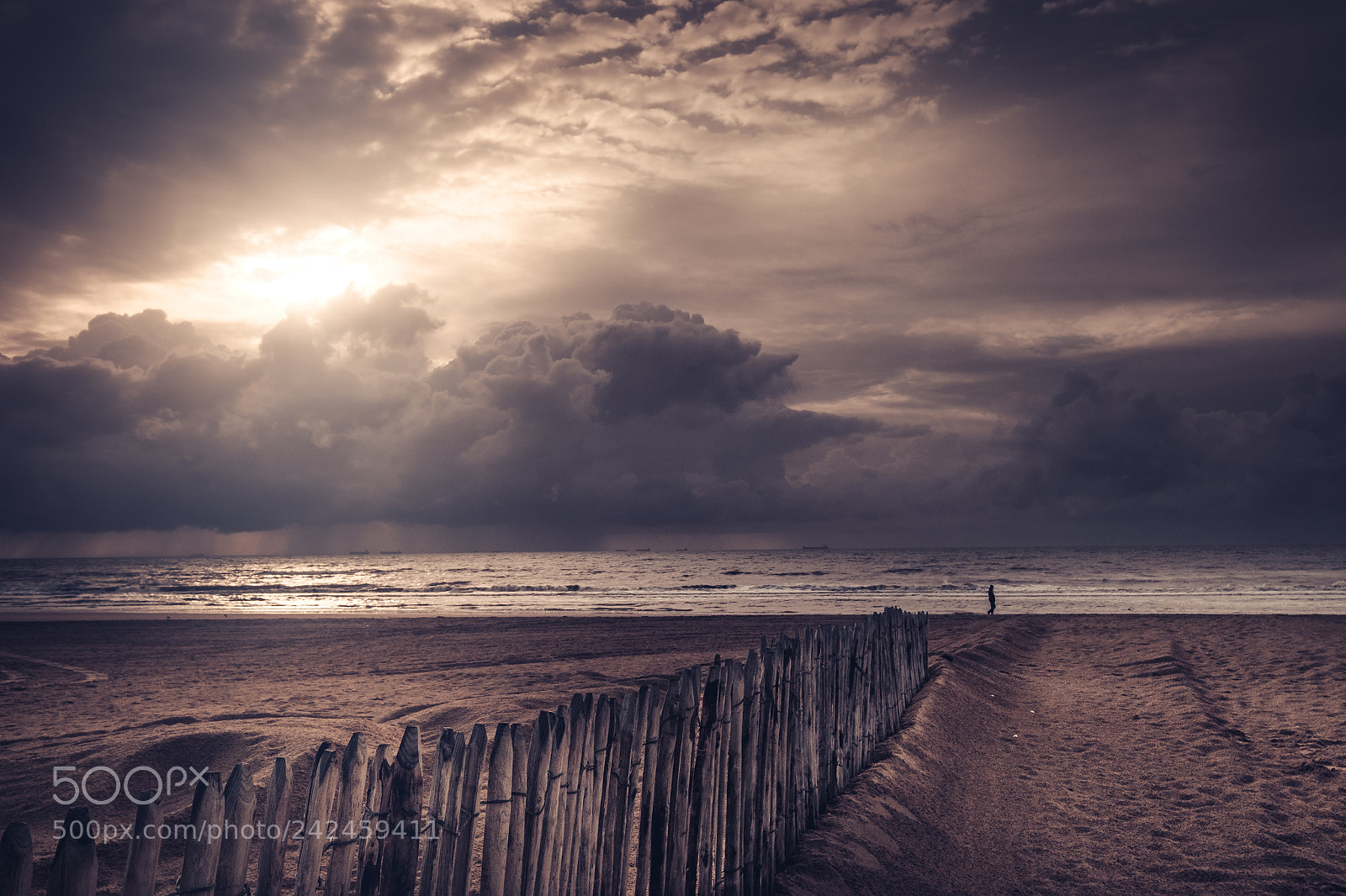 Fujifilm X-T1 sample photo. Http://weinheim.photos photography