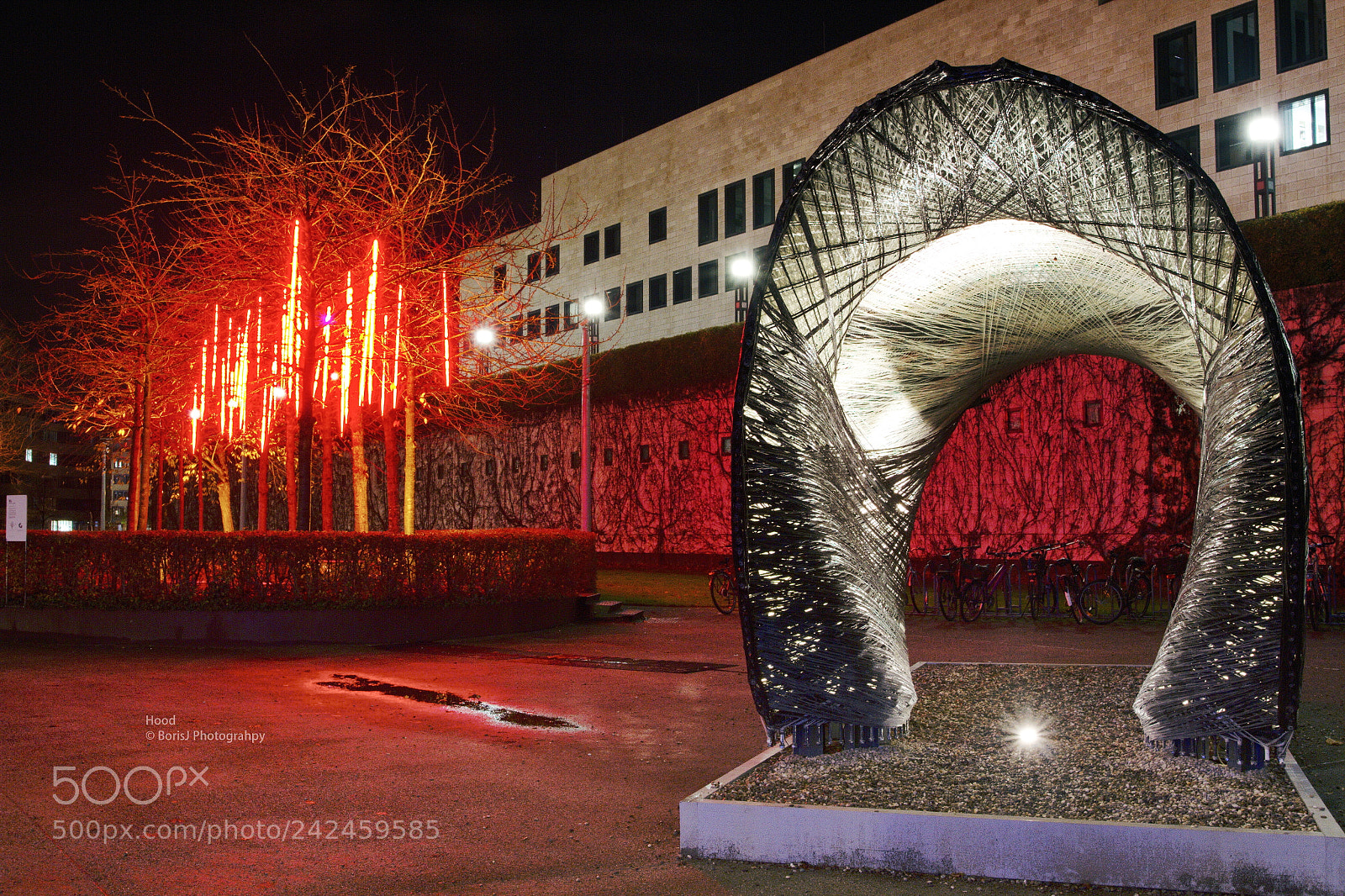 Canon EOS 7D + Canon EF 17-40mm F4L USM sample photo. Hood photography