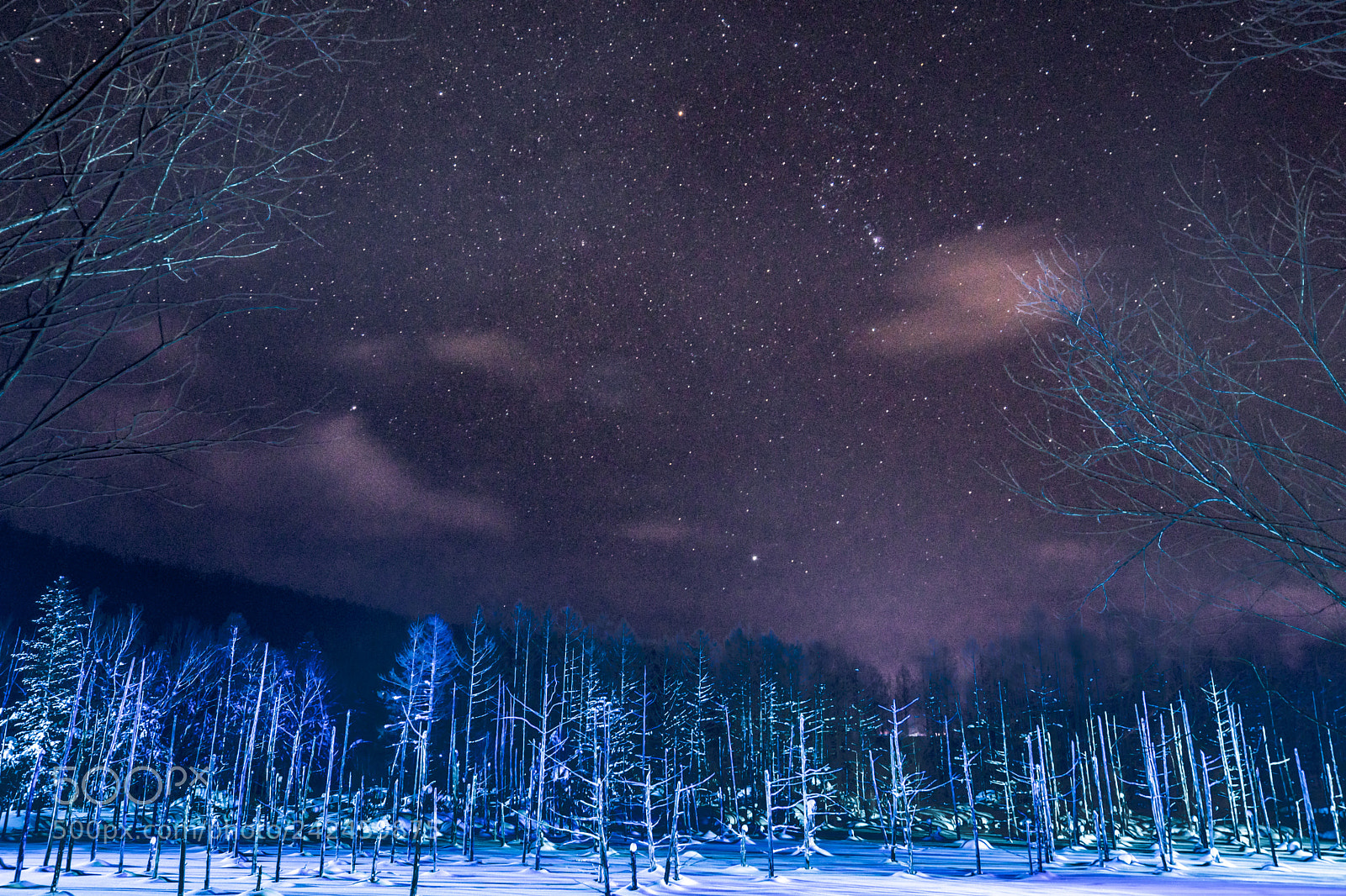 Sony a9 sample photo. Star of a blue photography