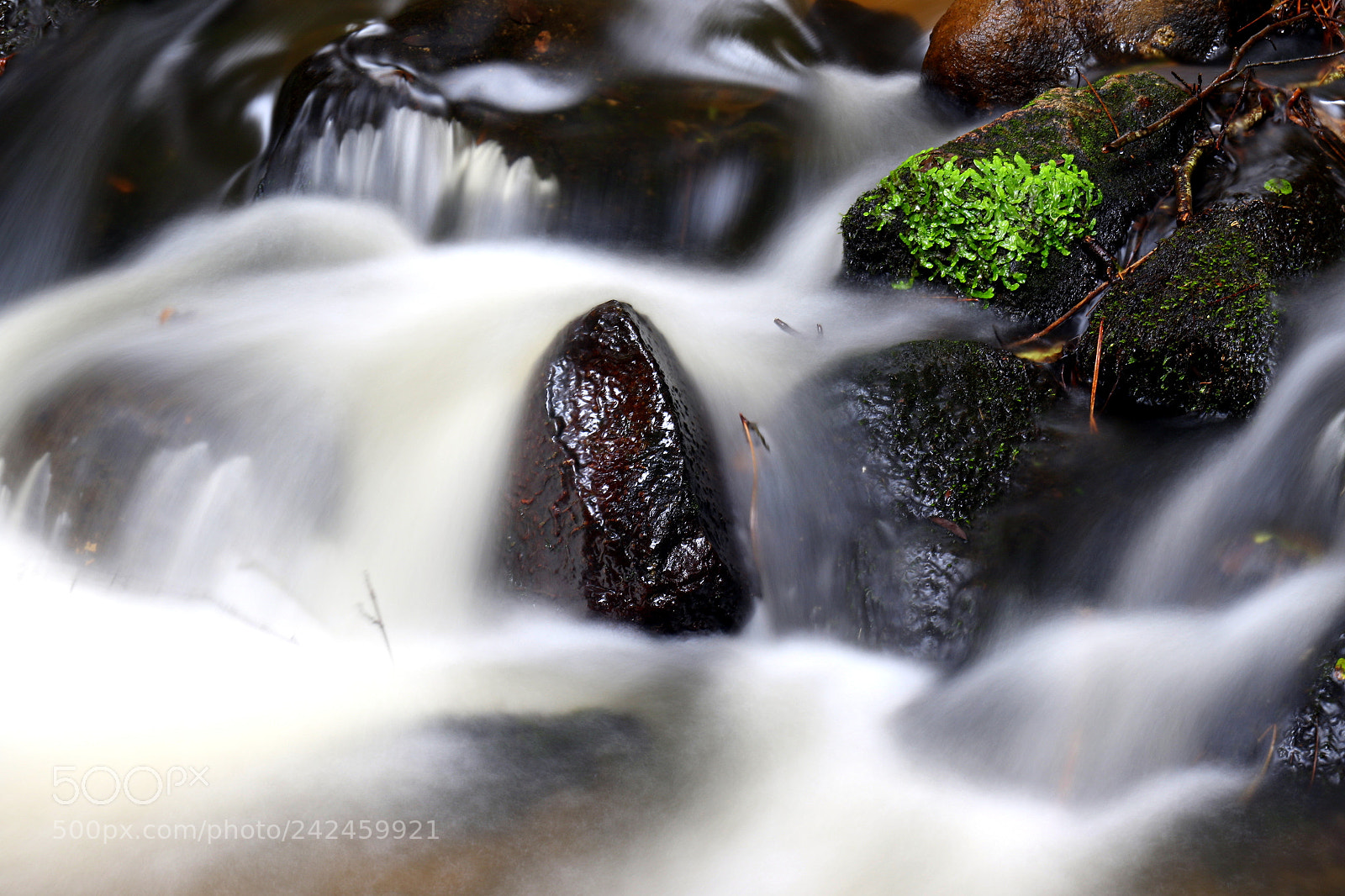 Canon EF 24-70mm F4L IS USM sample photo. Water and stone photography