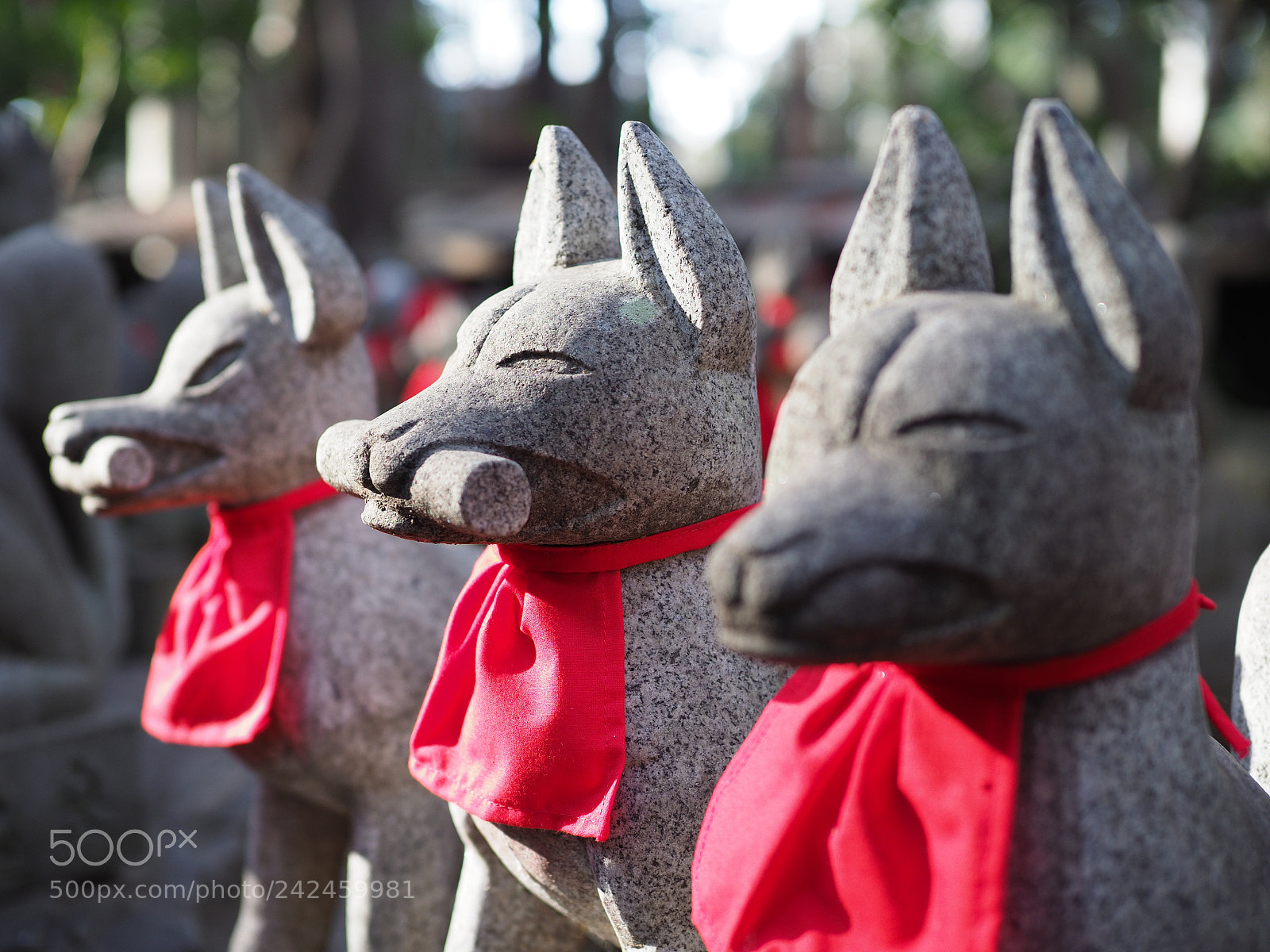 Olympus OM-D E-M1 Mark II sample photo. お稲荷様 | inari photography