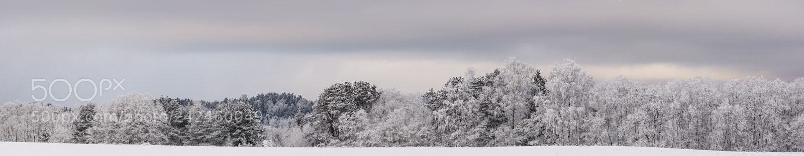 Nikon D7100 sample photo. Winter landscape photography