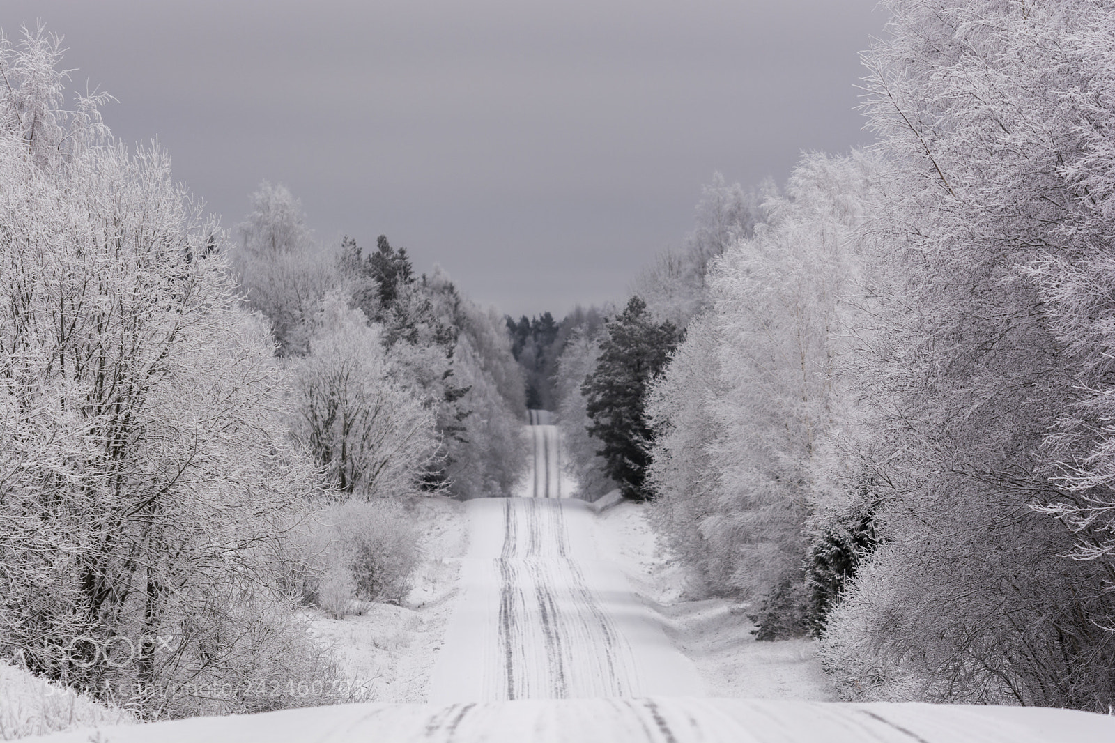 Nikon D7100 sample photo. Winter landscape photography