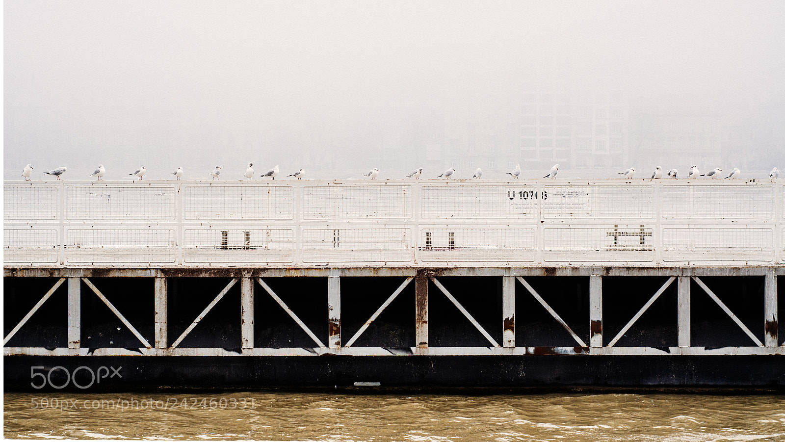 Nikon D90 sample photo. Misty budapest photography