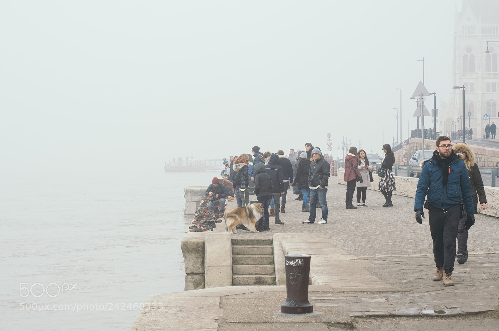 Nikon D90 sample photo. Misty budapest photography
