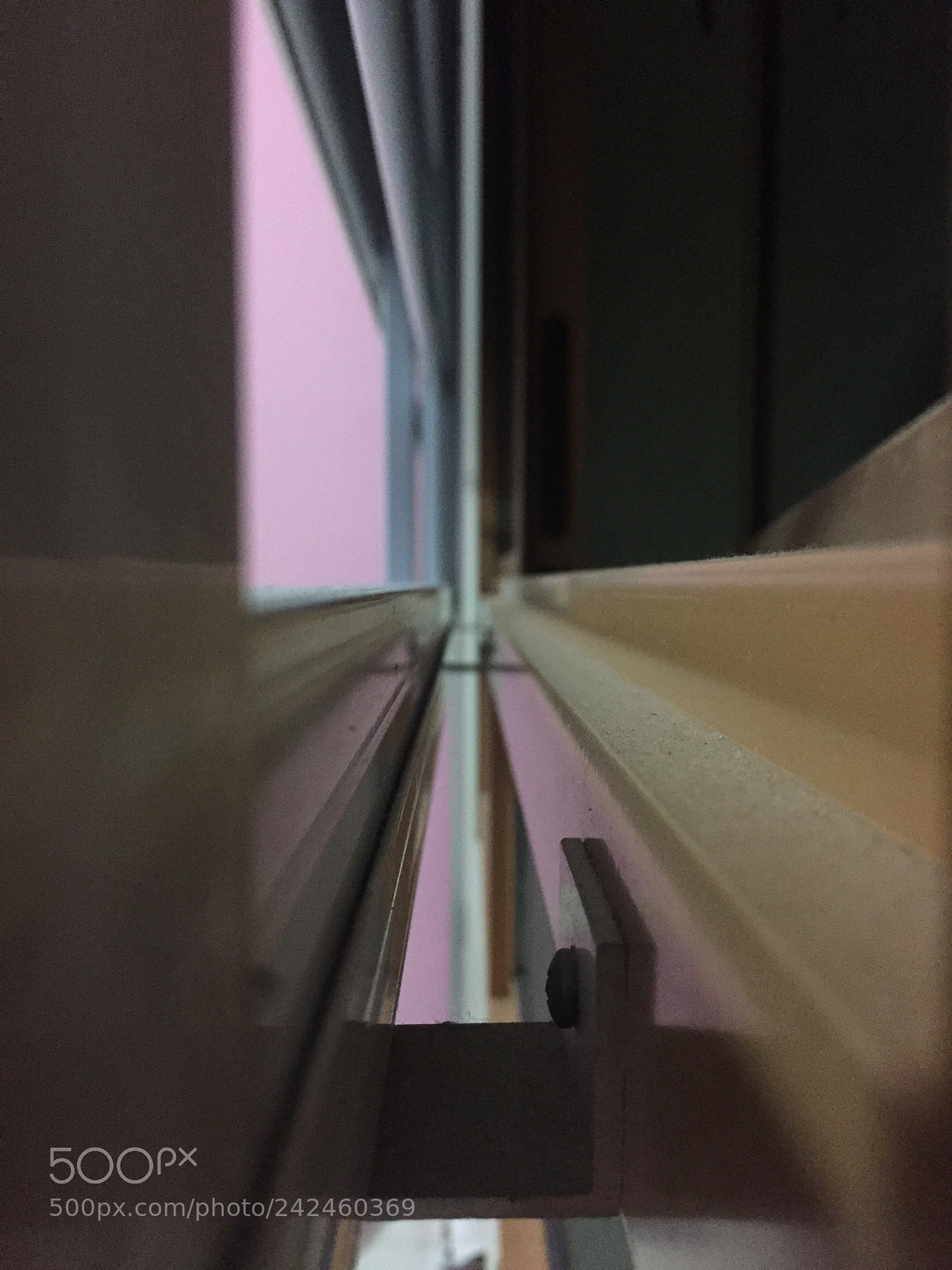 Apple iPhone 6 sample photo. Untitled photography