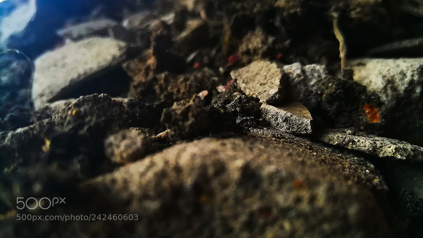 HUAWEI GR5 2017 sample photo. Untitled photography