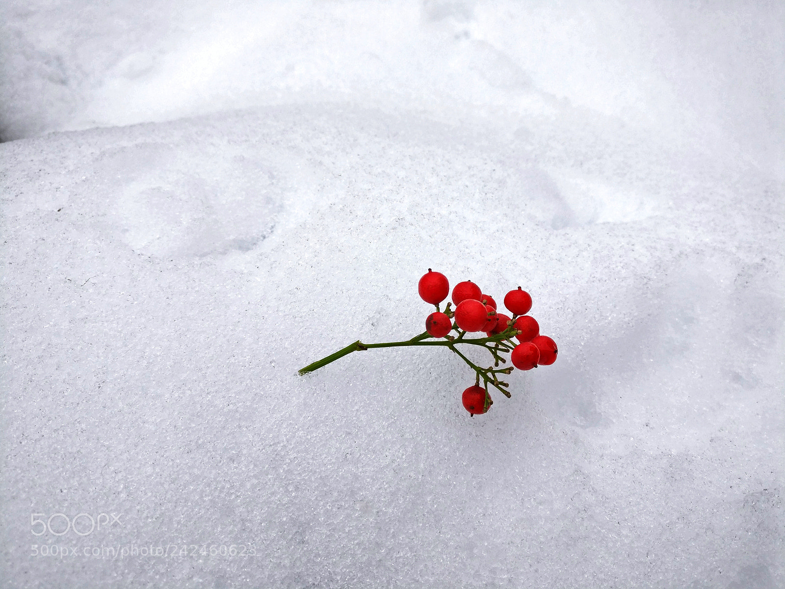 OnePlus A3010 sample photo. 雪 photography