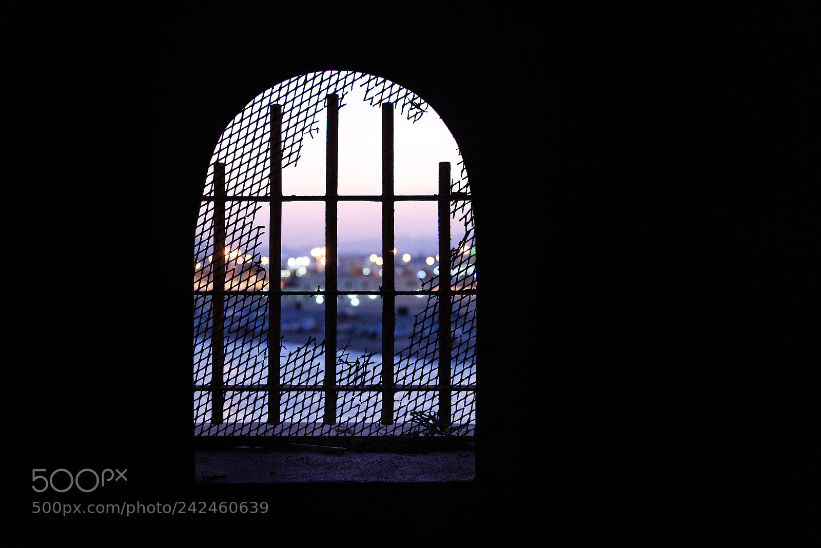 Nikon D810 sample photo. The window photography