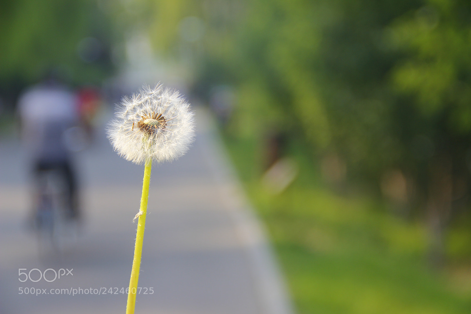 Canon EF-S 18-135mm F3.5-5.6 IS sample photo. Mg photography