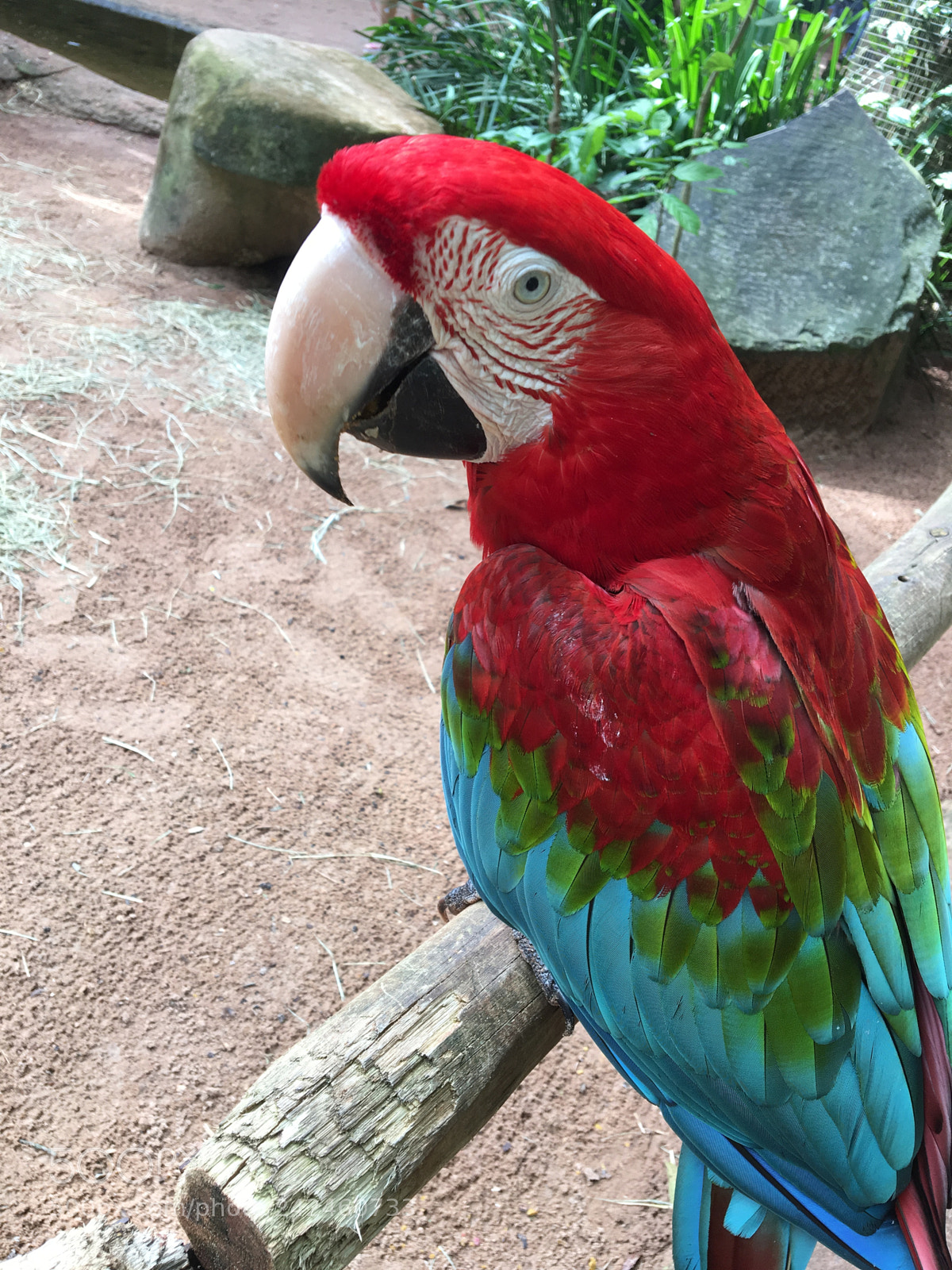 Apple iPhone 6s sample photo. Foz do igua u photography