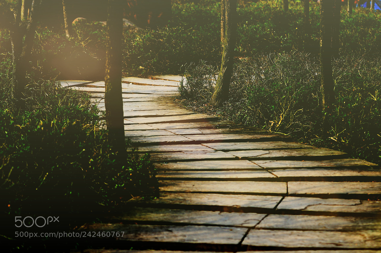 Canon EOS 7D Mark II sample photo. Untitled photography