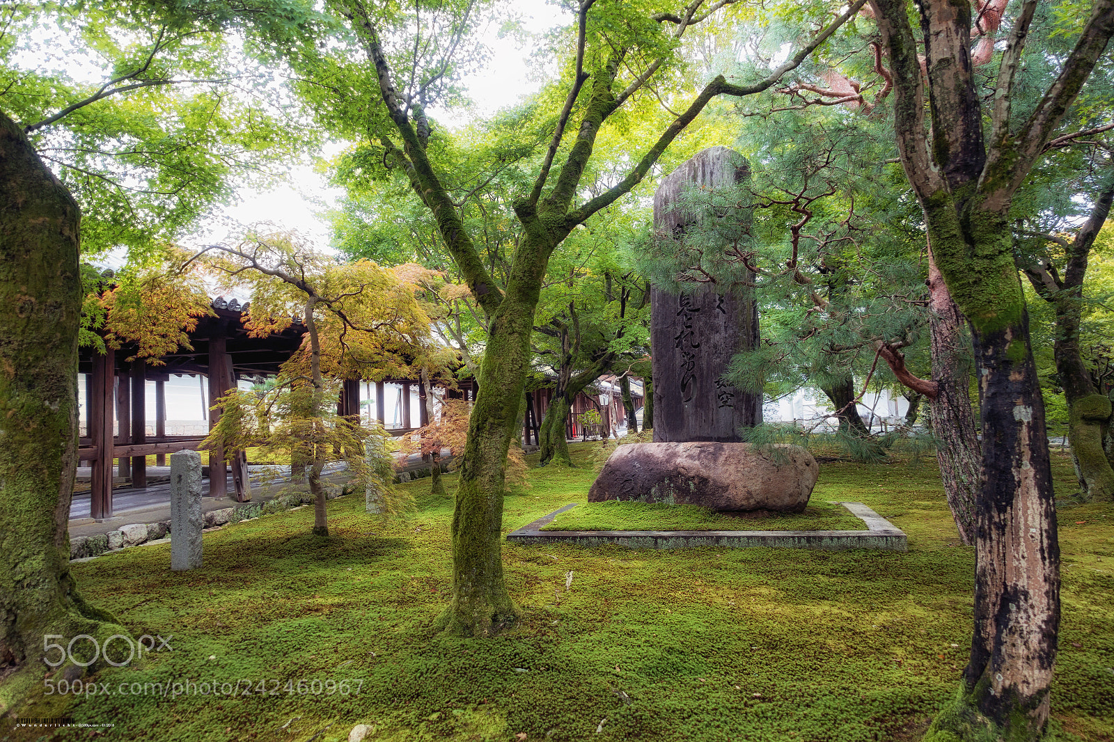 Sony Cyber-shot DSC-RX100 III sample photo. Garden at tofuku-ji temple photography
