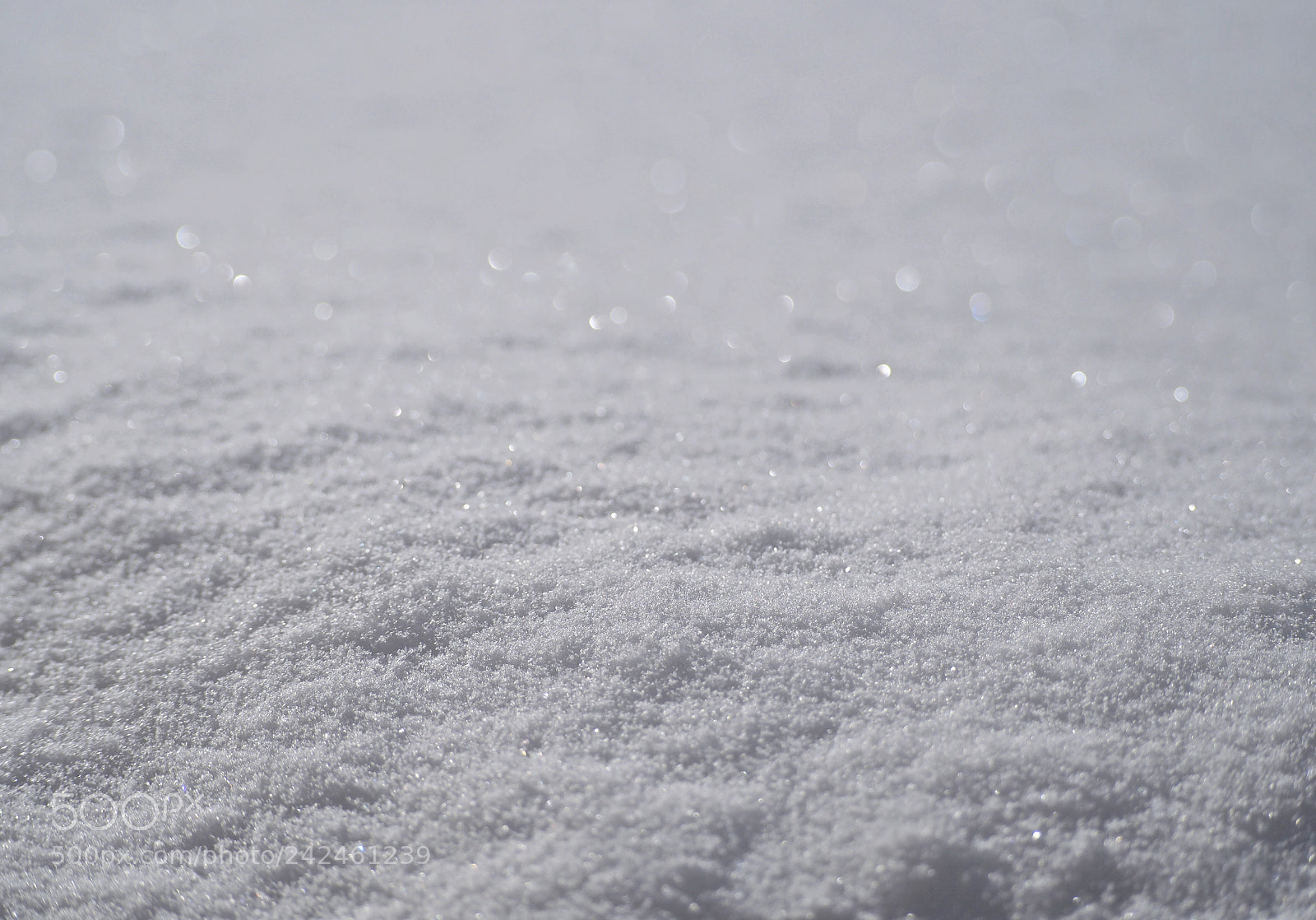 Olympus OM-D E-M10 III sample photo. Snow photography