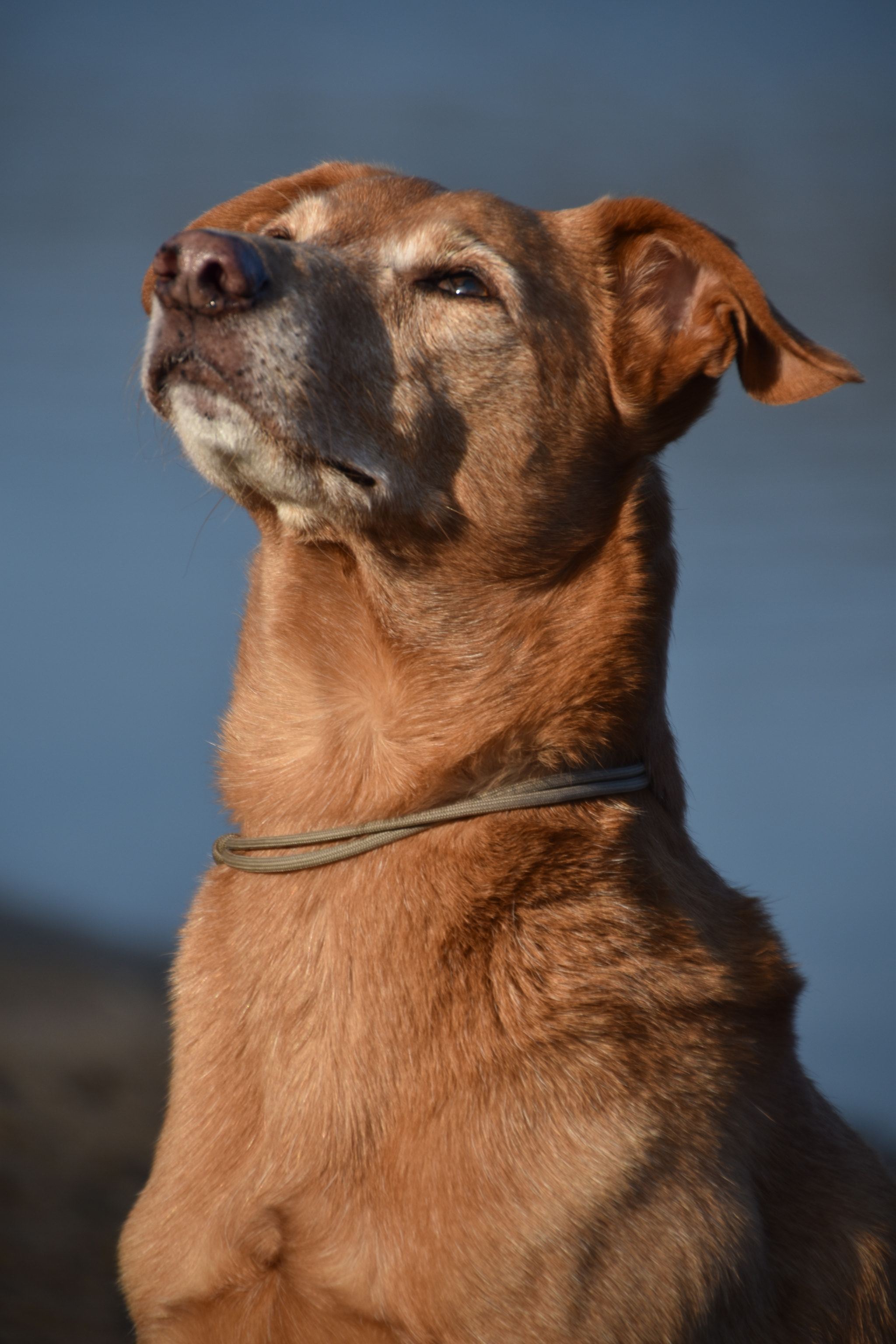 Nikon D5600 sample photo. Spring is in the air.. photography