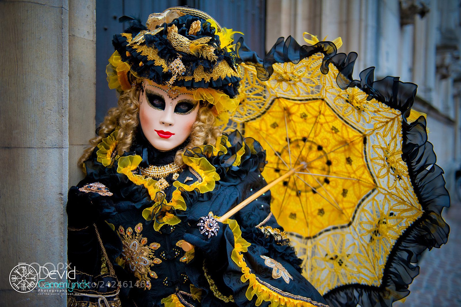 Nikon D700 sample photo. Costum s de venise photography