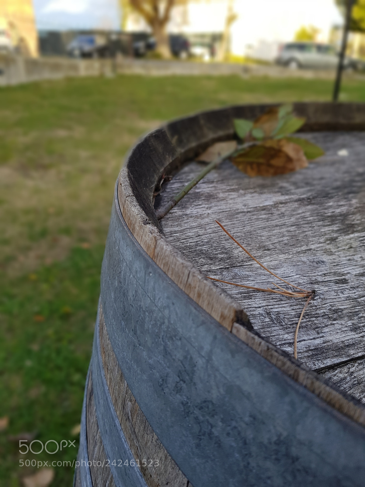 Samsung Galaxy S8+ sample photo. Untitled photography