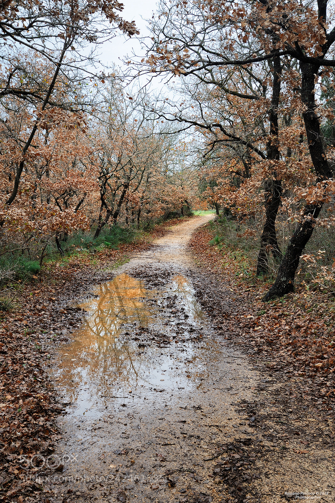 Nikon D700 sample photo. Il fango da attraversare photography