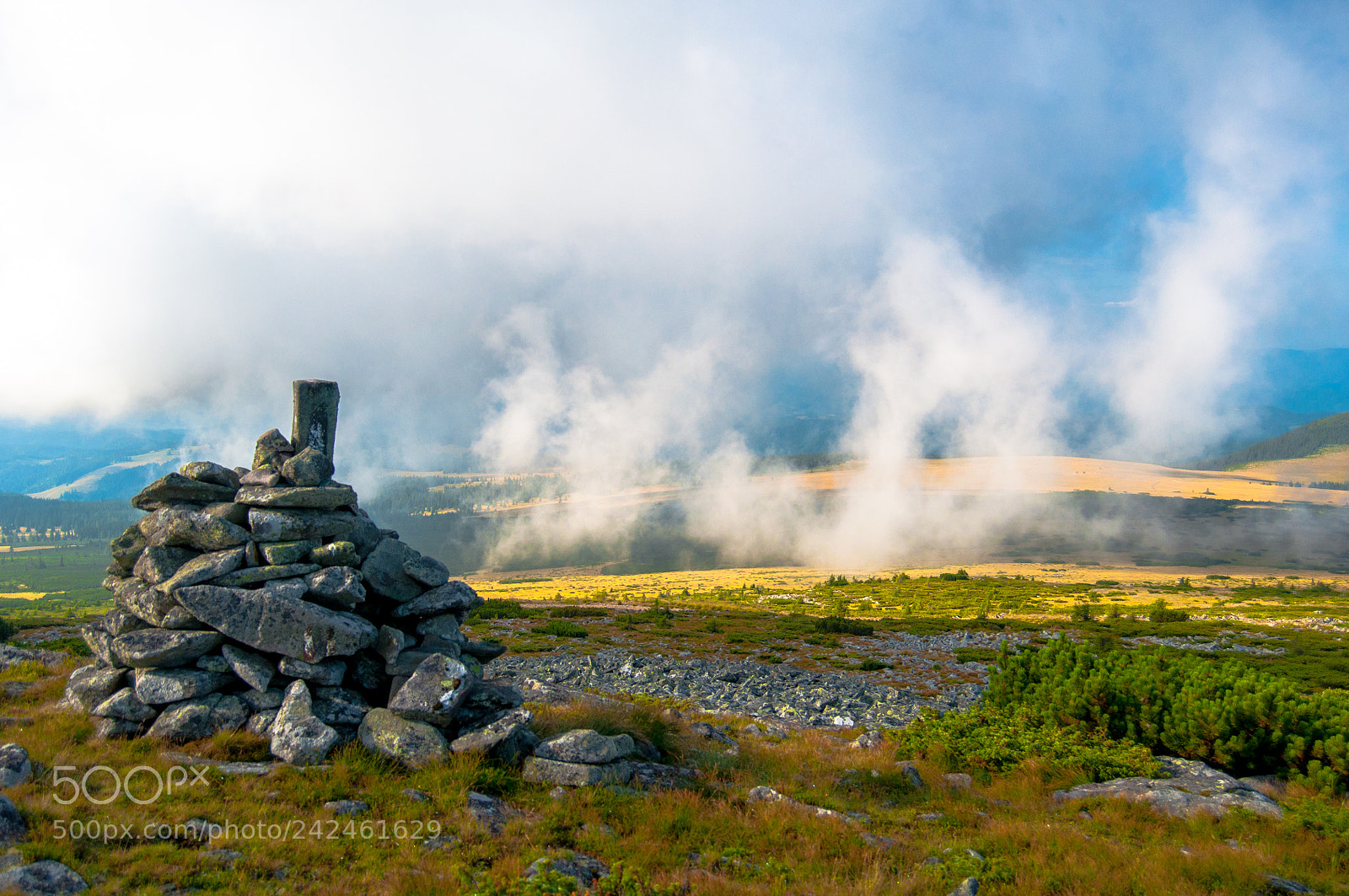 Nikon D90 sample photo. The mist photography