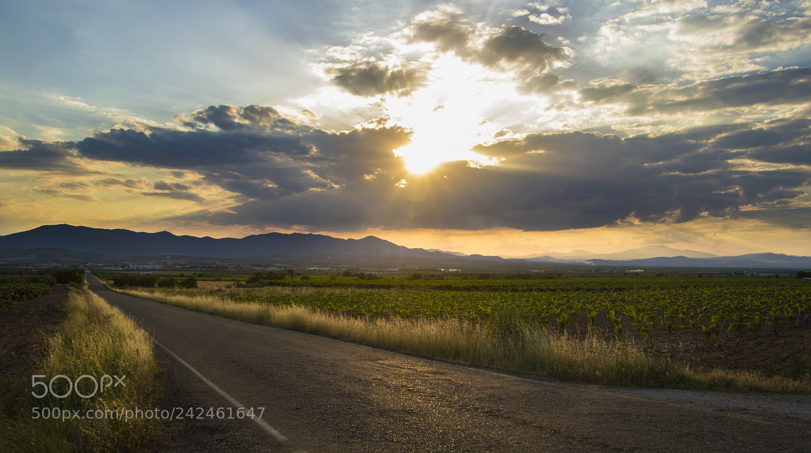 Canon EOS 750D (EOS Rebel T6i / EOS Kiss X8i) sample photo. From land to heaven photography